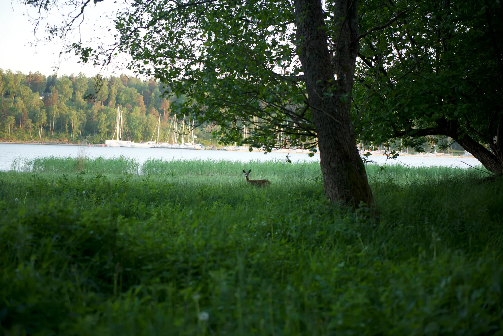 Bostadsrätt, Myntbacken 19, Täljöviken, Österåker