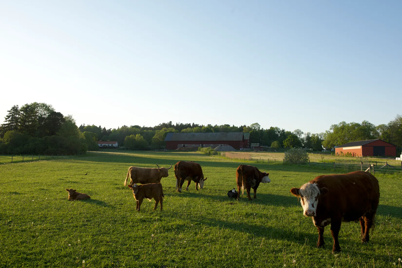 Bostadsrätt, Myntbacken 19, Täljöviken, Österåker