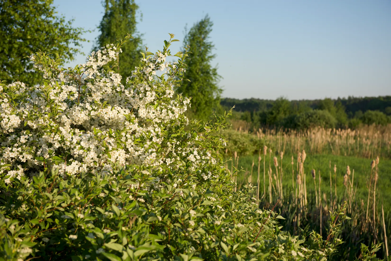 Bostadsrätt, Myntbacken 19, Täljöviken, Österåker