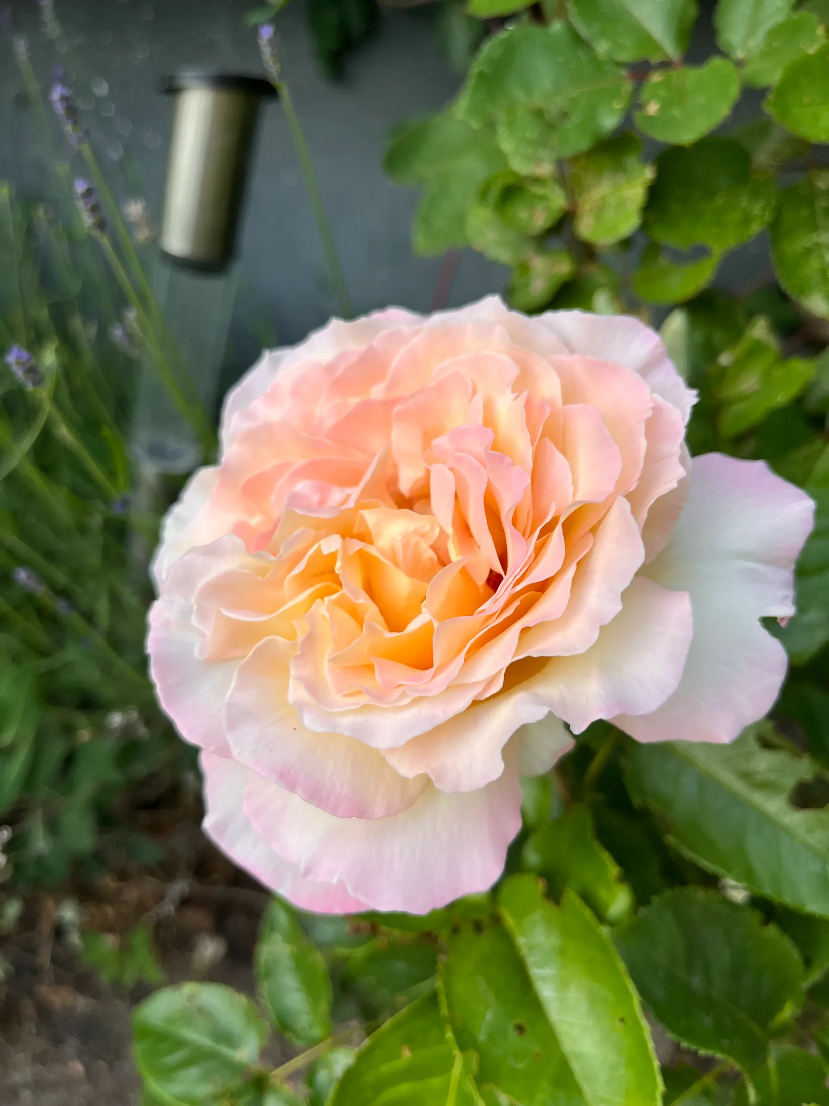 Villa, Skogsvägen 1, Emtunga, Vara