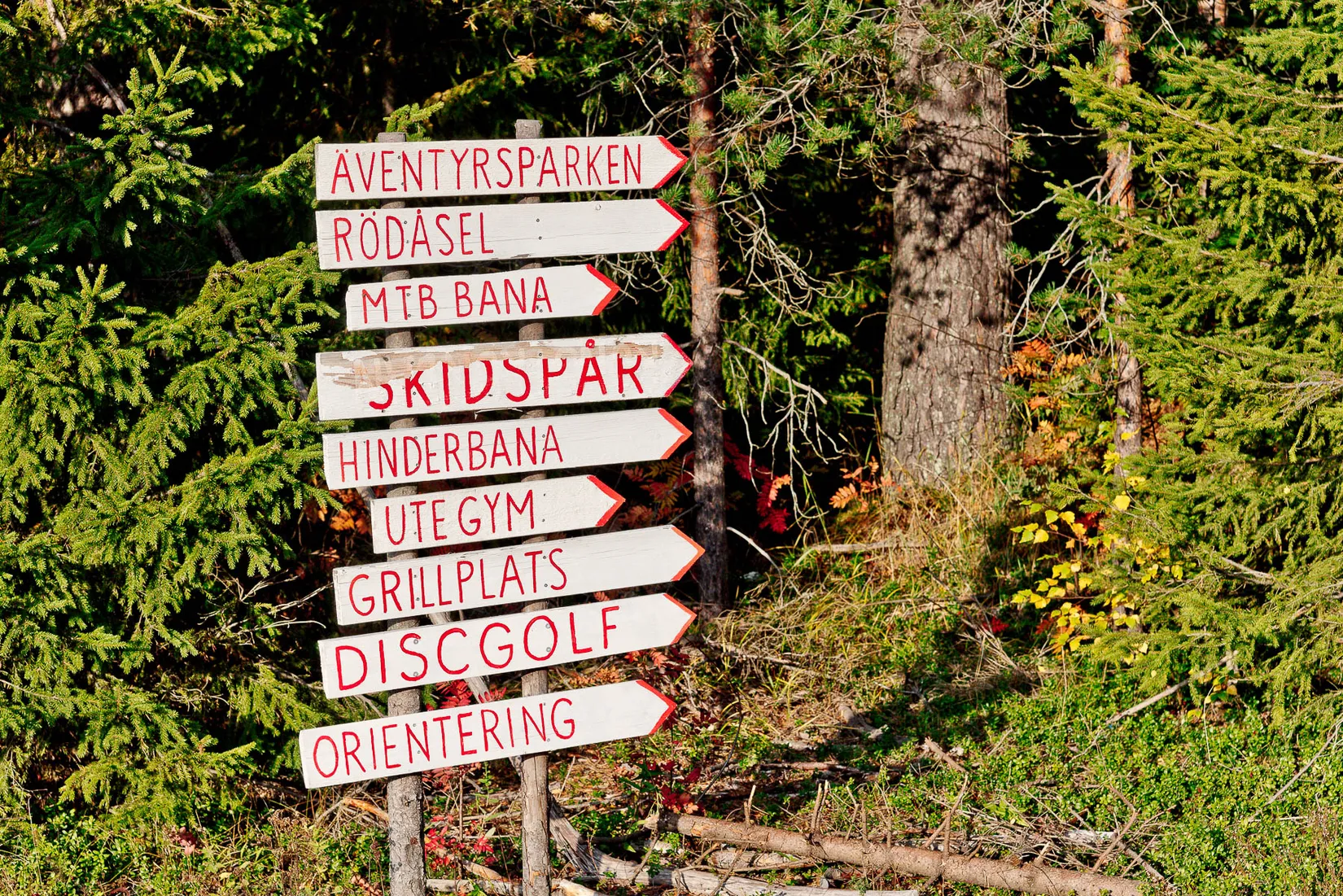 Villa, Rödåsel 523, Rödåsel, Umeå