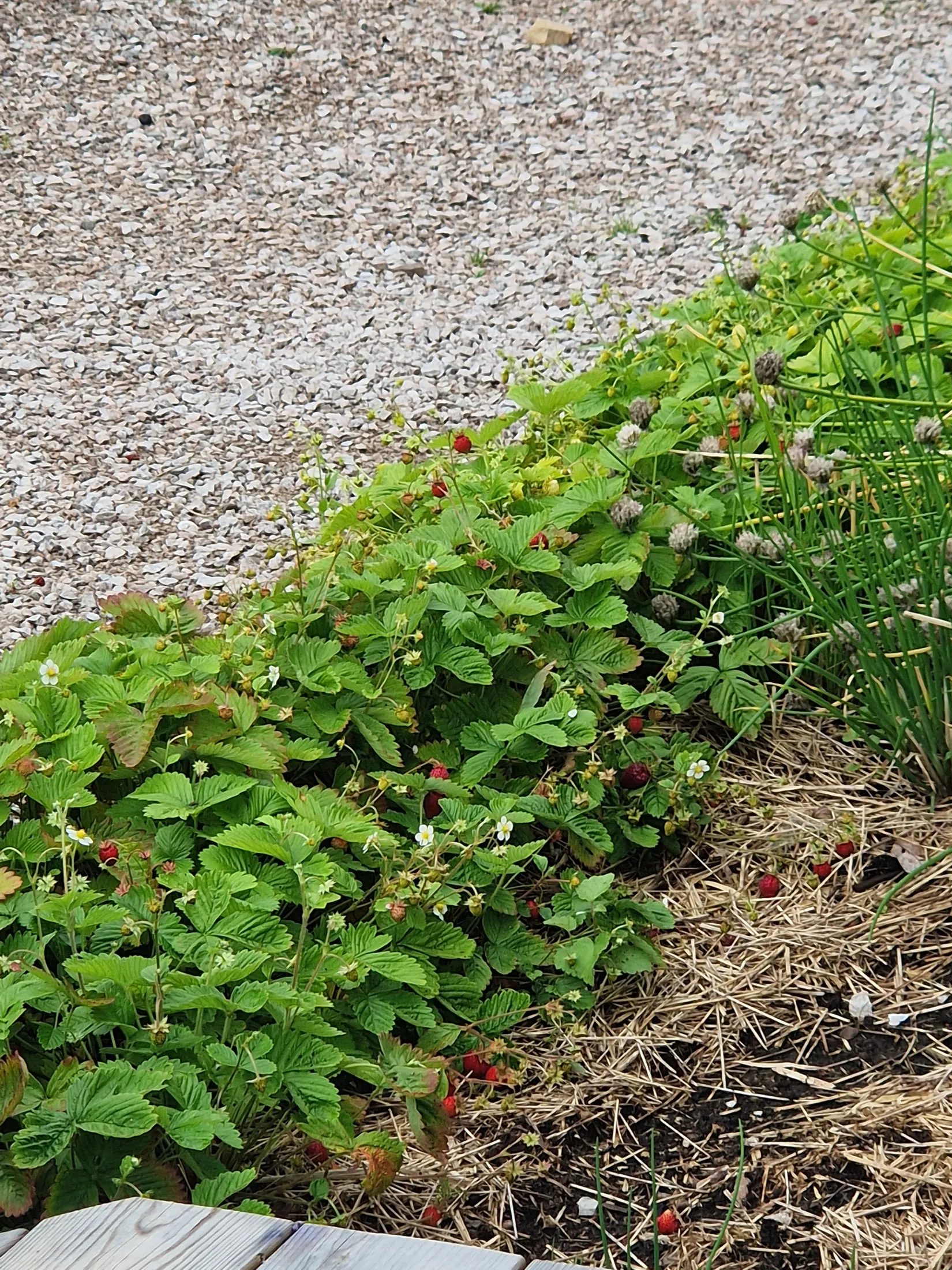 Villa, Lycka Sjörsvägen 10, Tibble och Lycka, Leksand