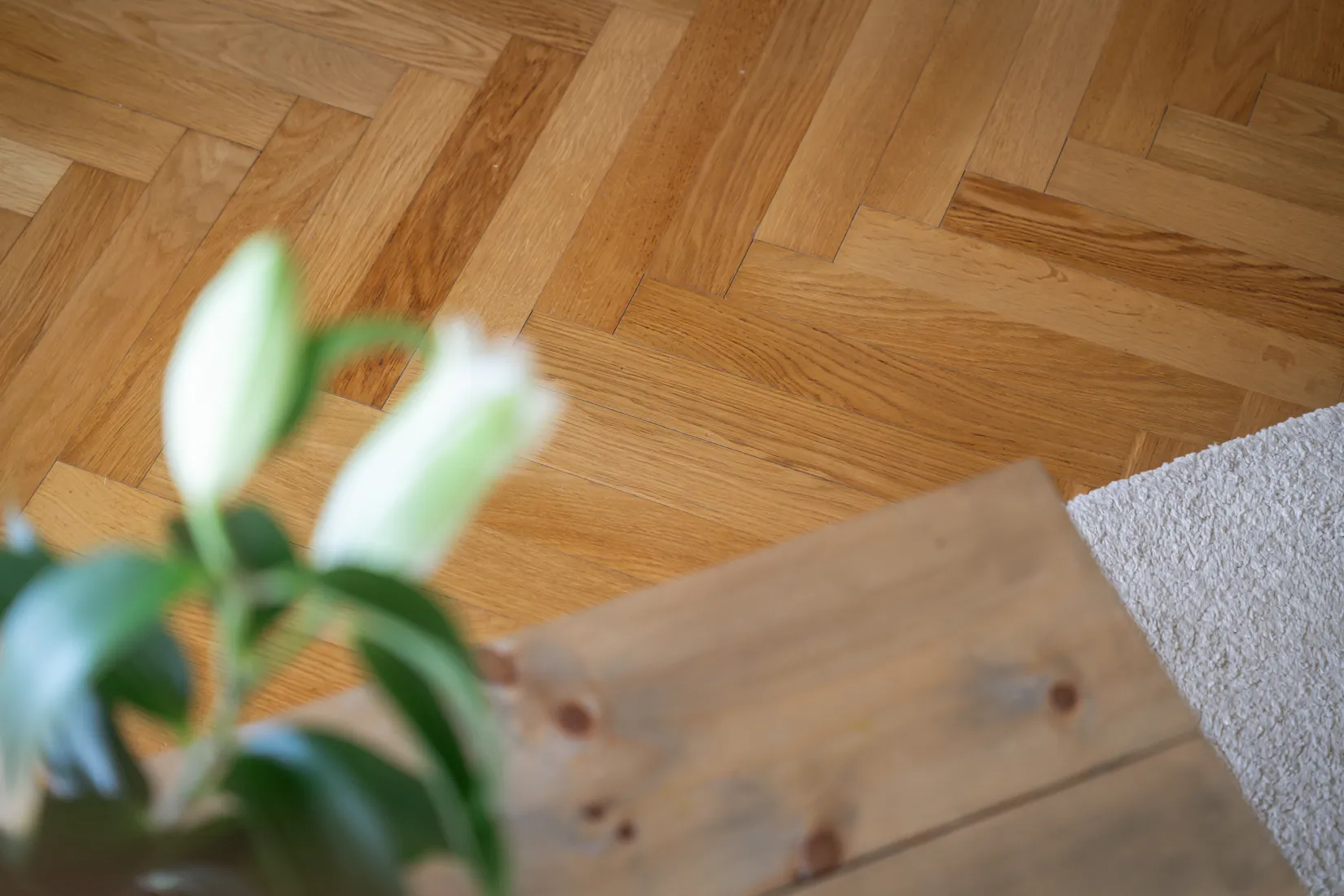 Bostadsrätt, Fredriksdalsgatan 6c, Almedal, Göteborg