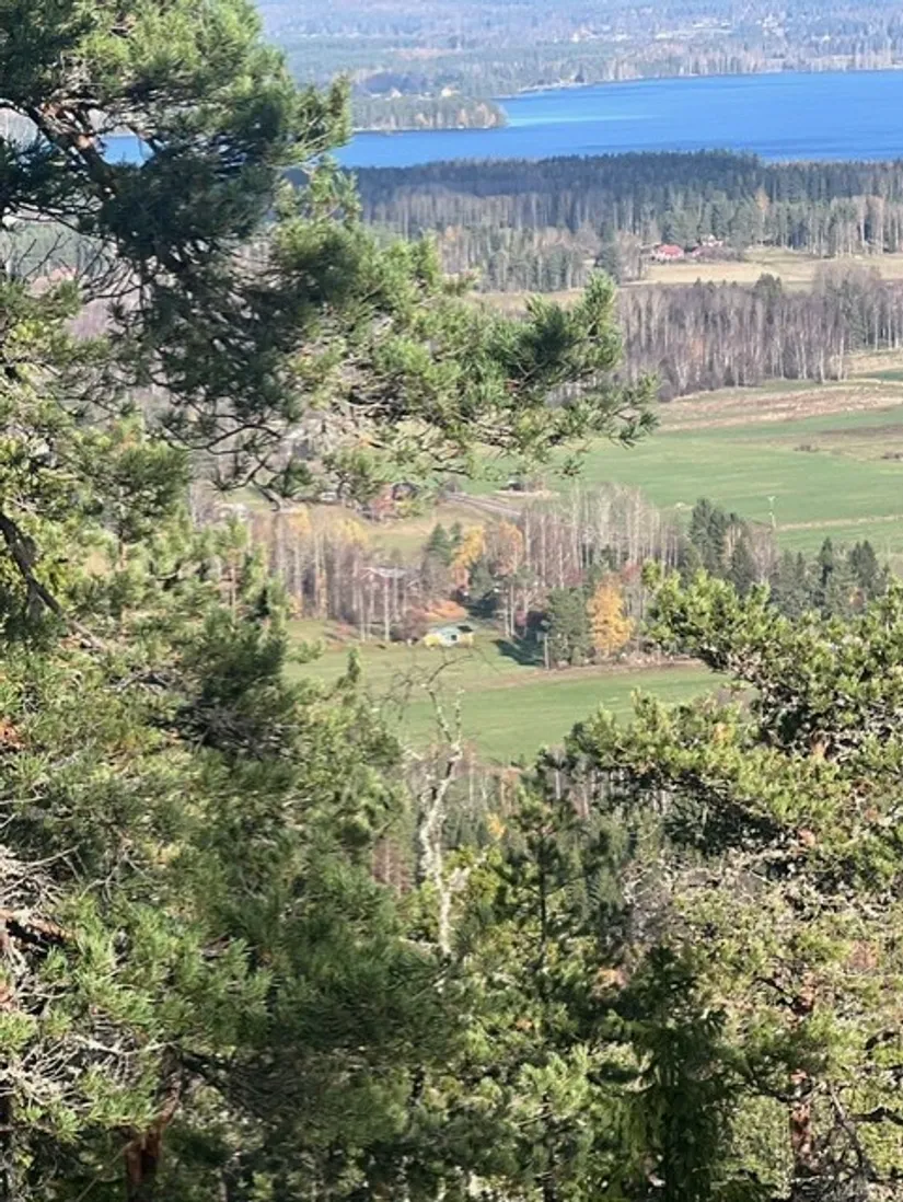 Gård/Skog, Lilltjära 6842, Kilafors, Bollnäs