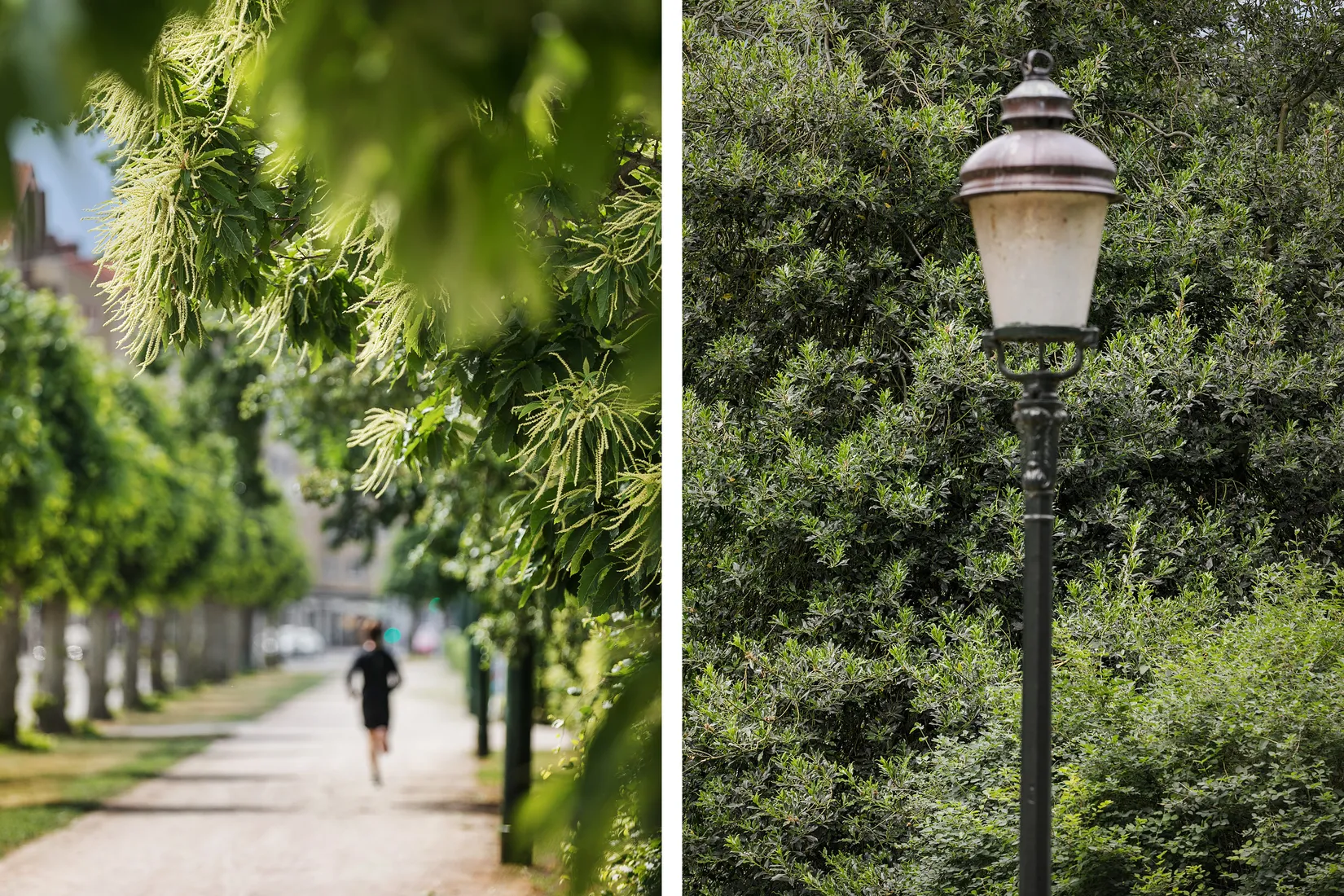 Bostadsrätt, Ribersborgsvägen 15A, Ribersborg, Malmö
