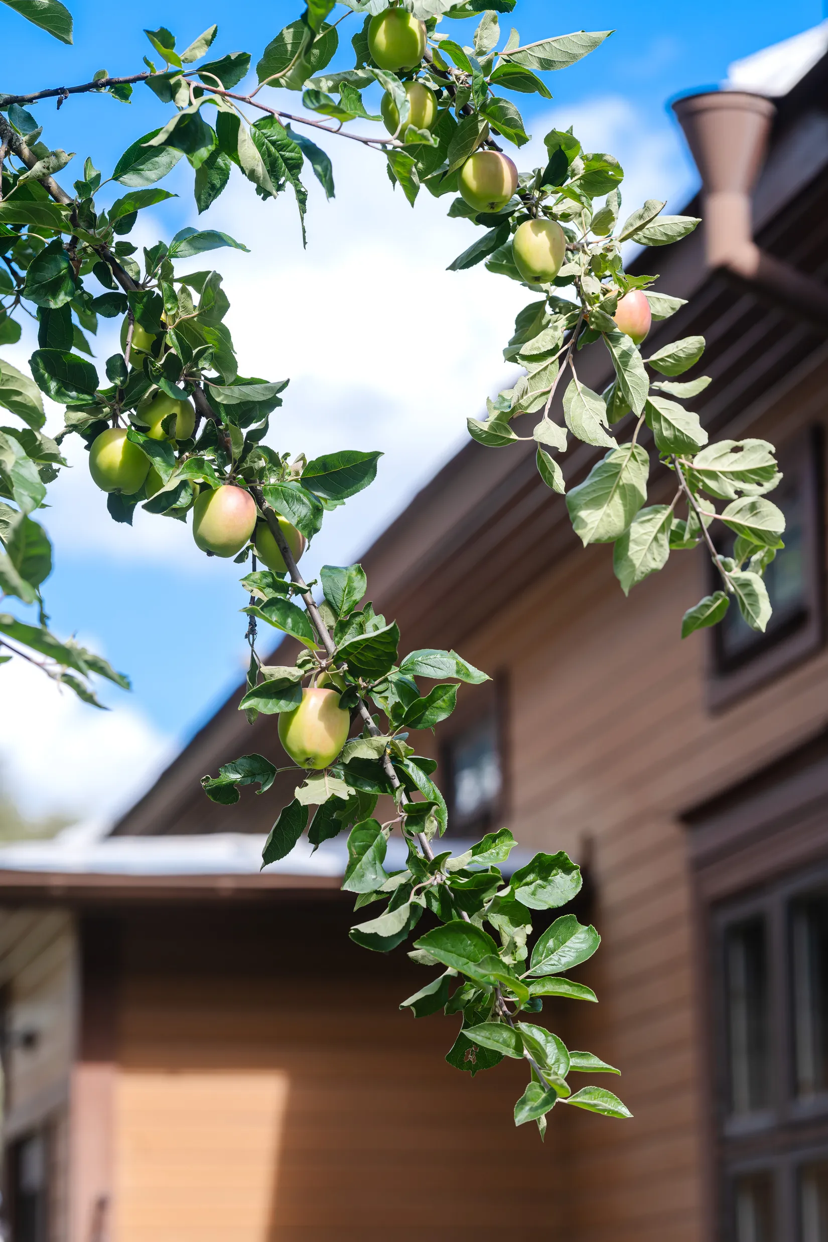 Bostadsrätt, Kyrkvaktargatan 3A, Brynäs, Gävle
