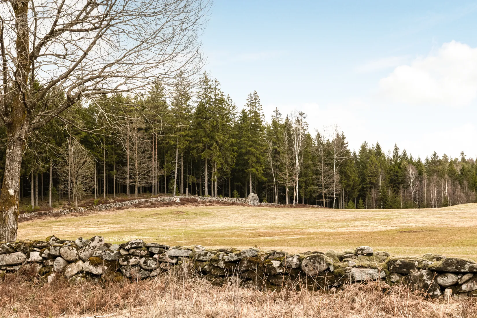 Villa, Slätthultsvägen 166, Stenkullen-Slätthult, Lerum