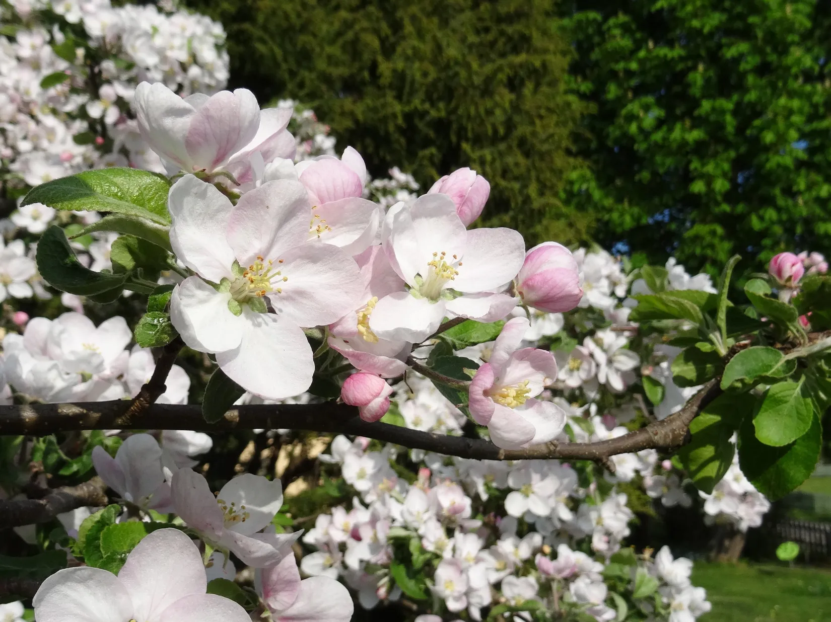 Villa, Dalavägen 3B, Rotebro/Gillbo, Sollentuna