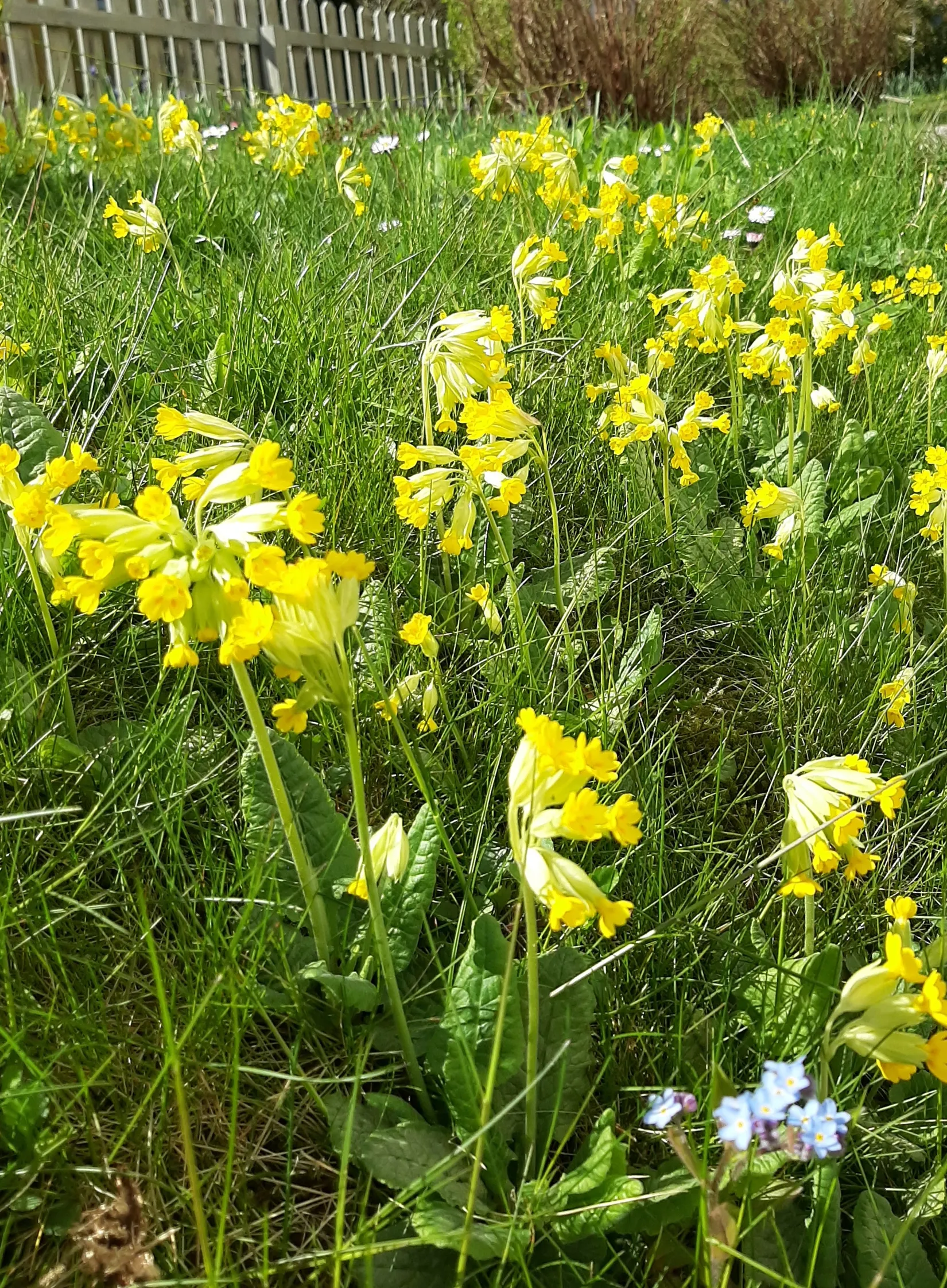 Villa, Dalavägen 3B, Rotebro/Gillbo, Sollentuna