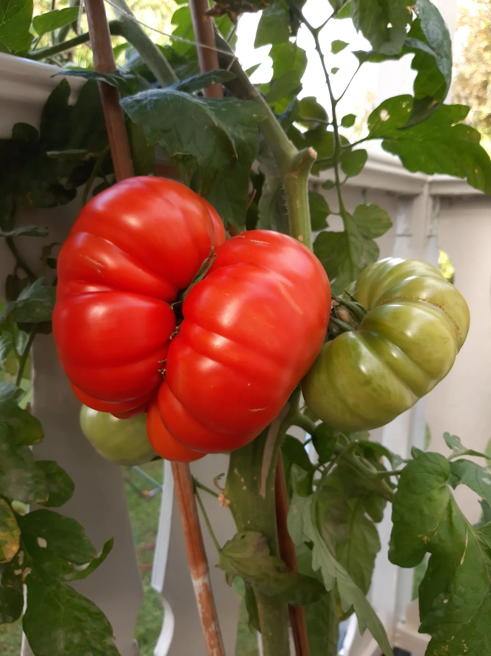 Villa, Dalavägen 3B, Rotebro/Gillbo, Sollentuna