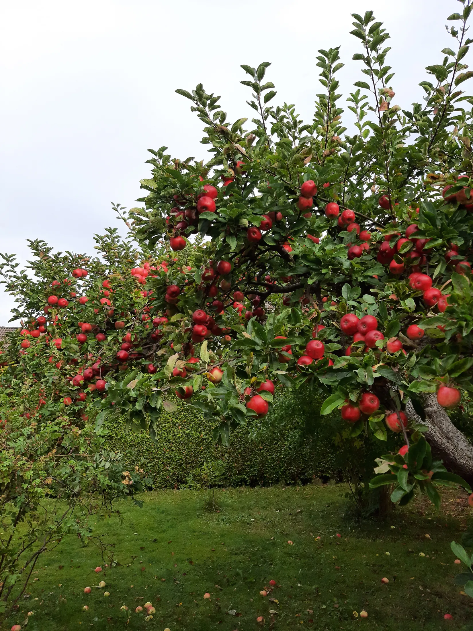 Villa, Dalavägen 3B, Rotebro/Gillbo, Sollentuna