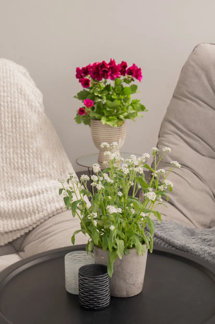 Bostadsrätt, Stenkvistavägen 10, Högdalen, Stockholm