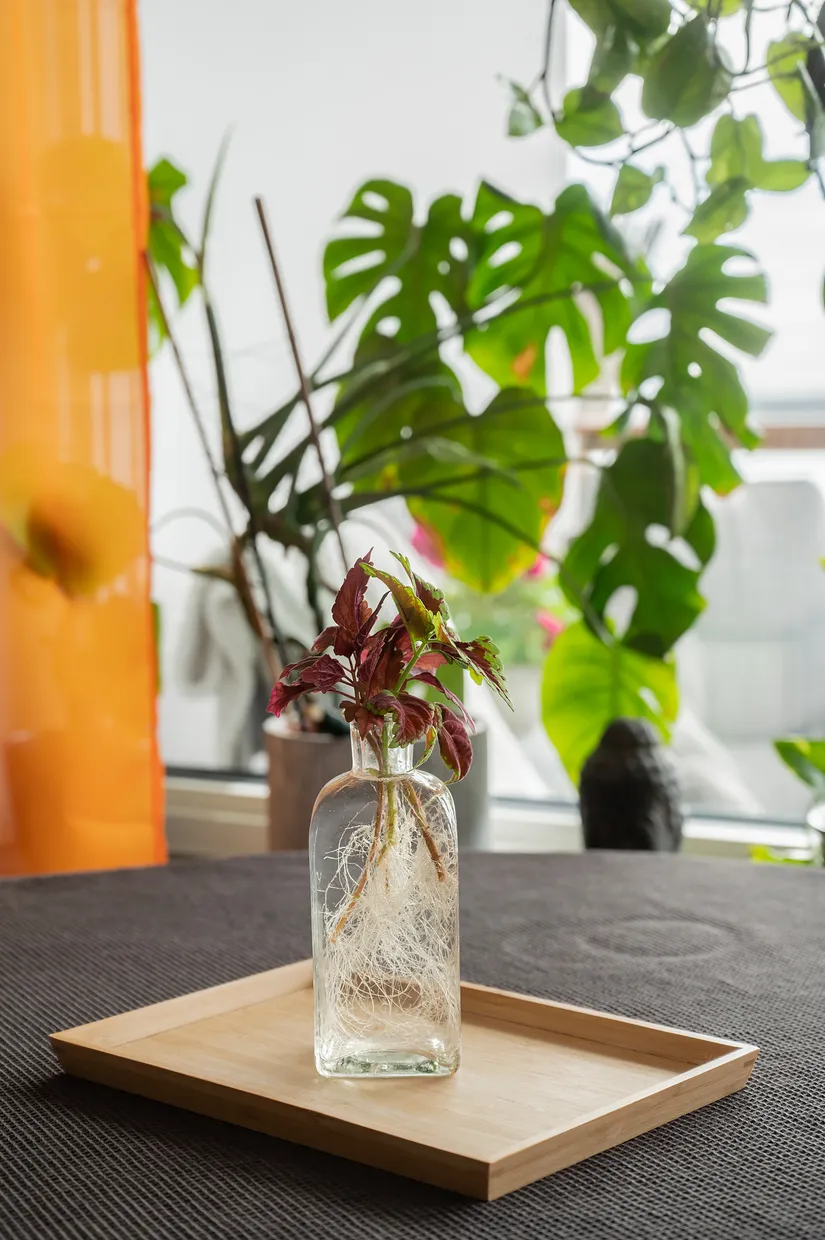 Bostadsrätt, Stenkvistavägen 10, Högdalen, Stockholm