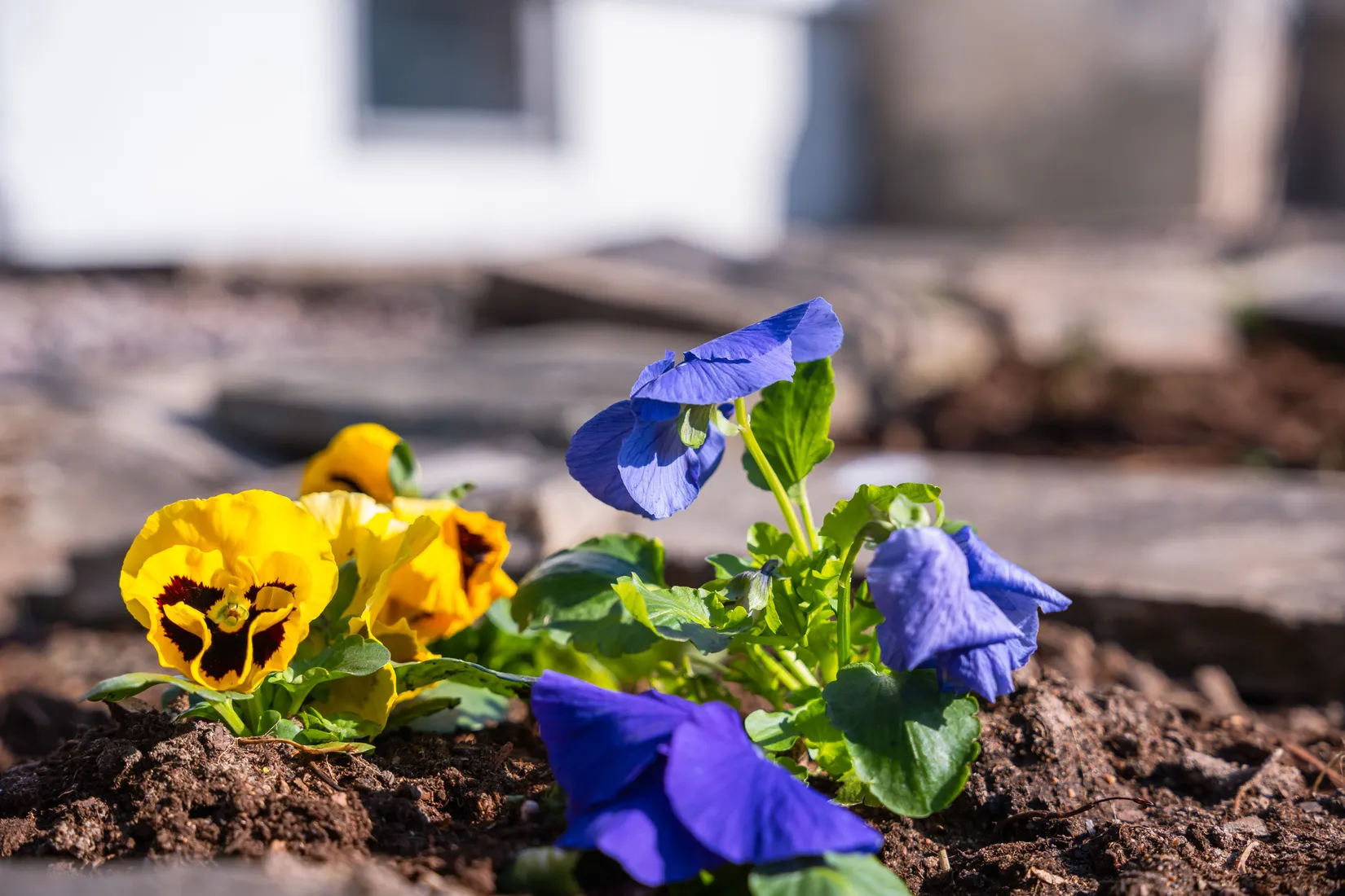 Villa, Movägen 1, Kolmården, Norrköping