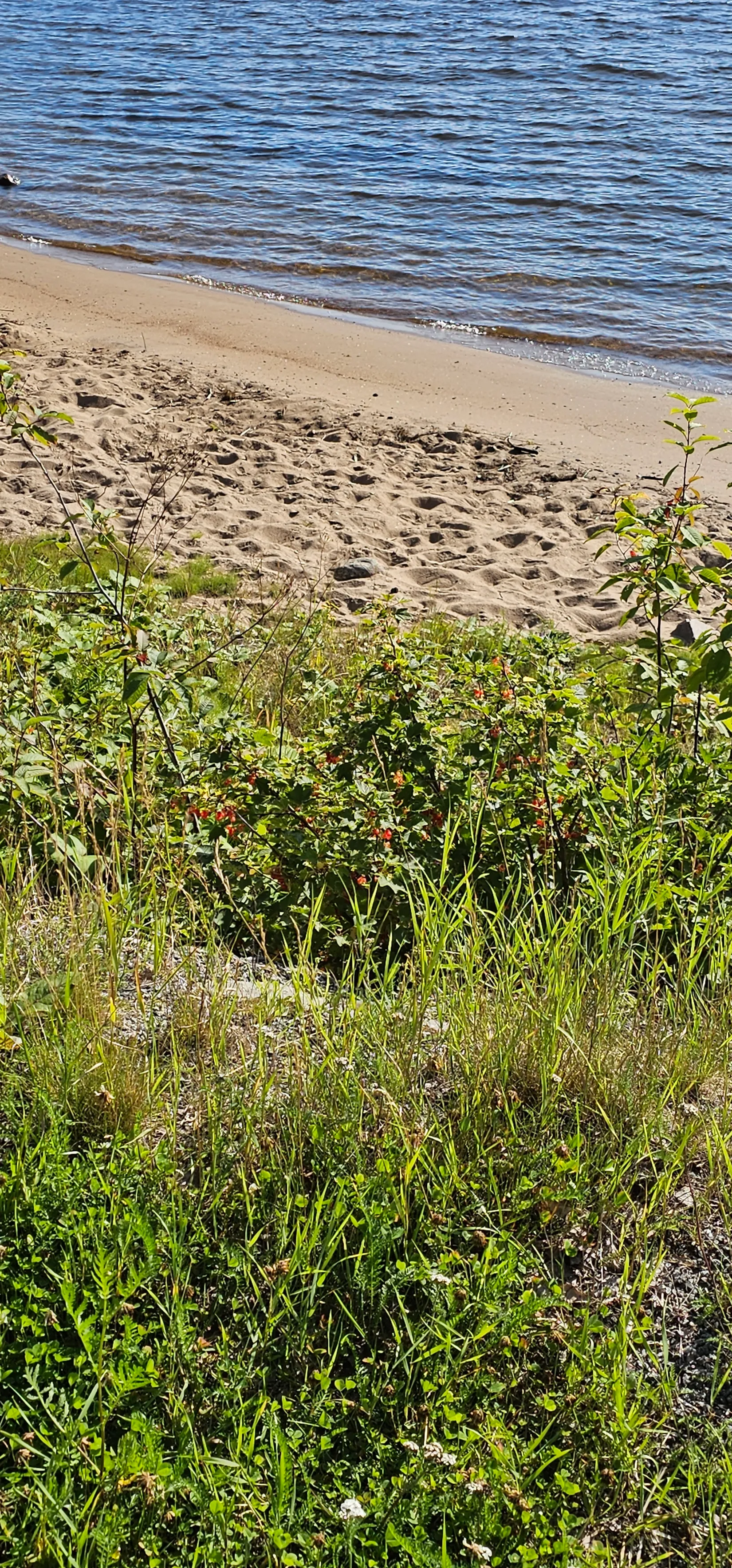 Bostadsrätt, Laxgatan 8 C, Svartöstaden, Luleå