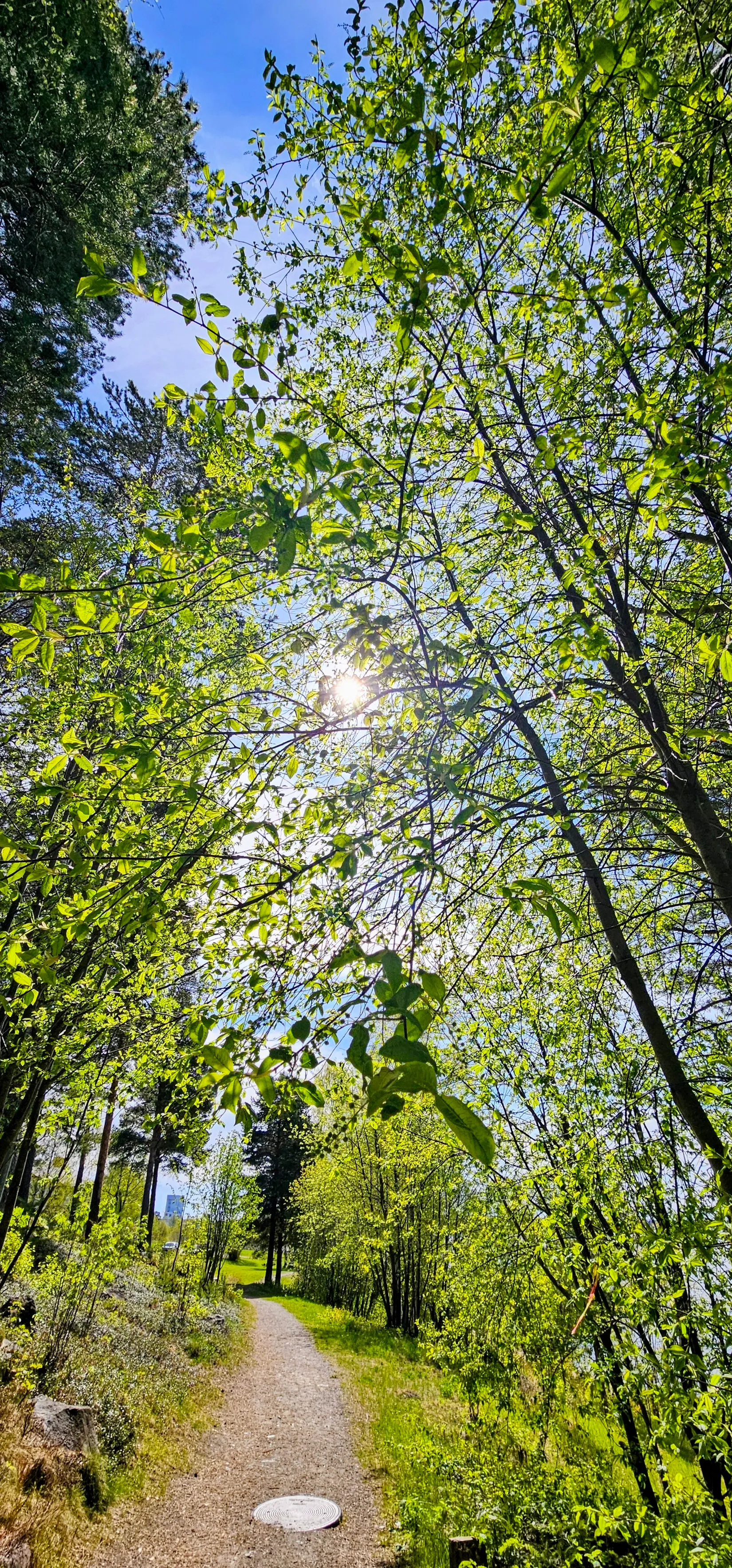 Bostadsrätt, Laxgatan 8 C, Svartöstaden, Luleå