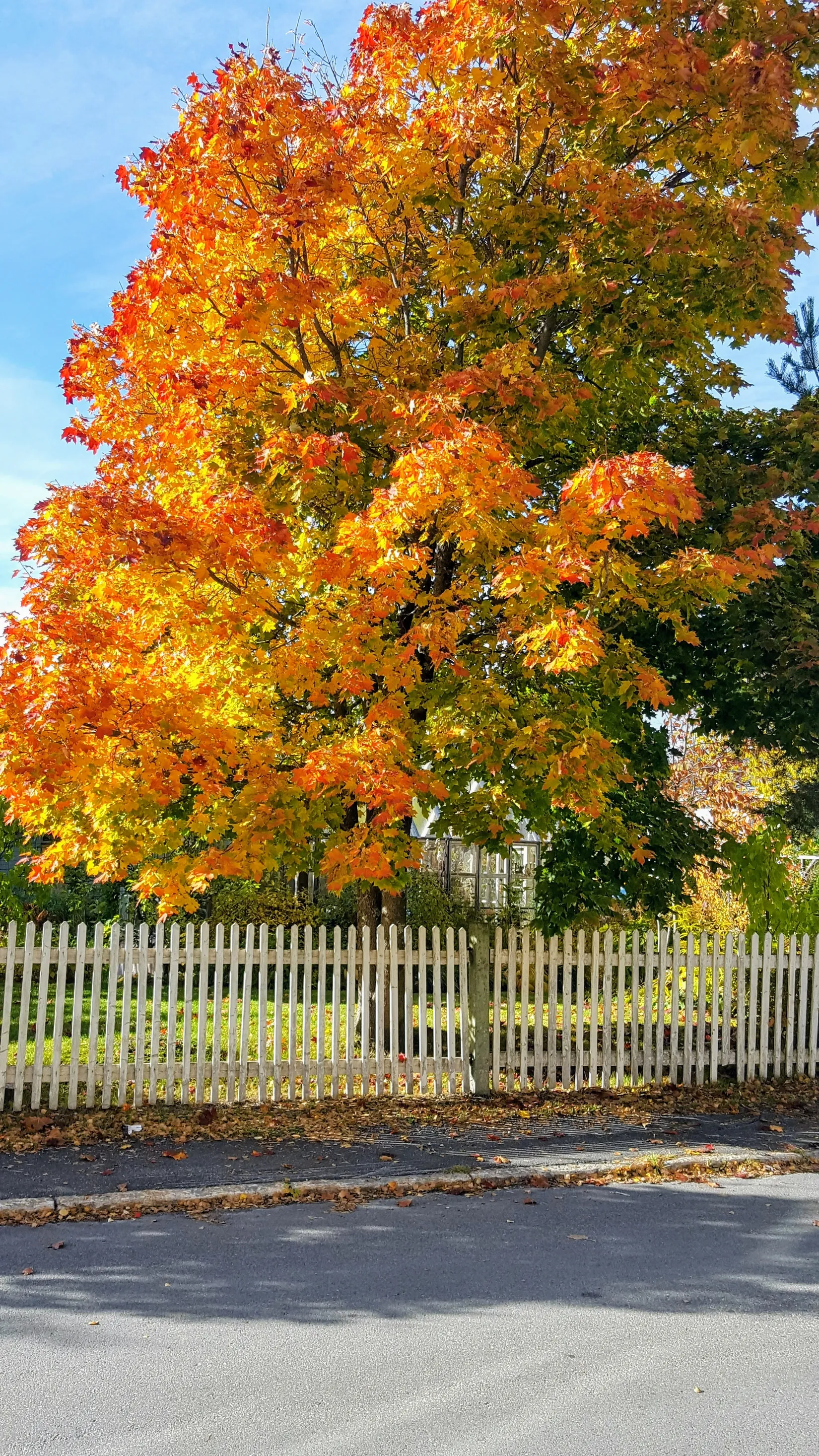 Bostadsrätt, Laxgatan 8 C, Svartöstaden, Luleå
