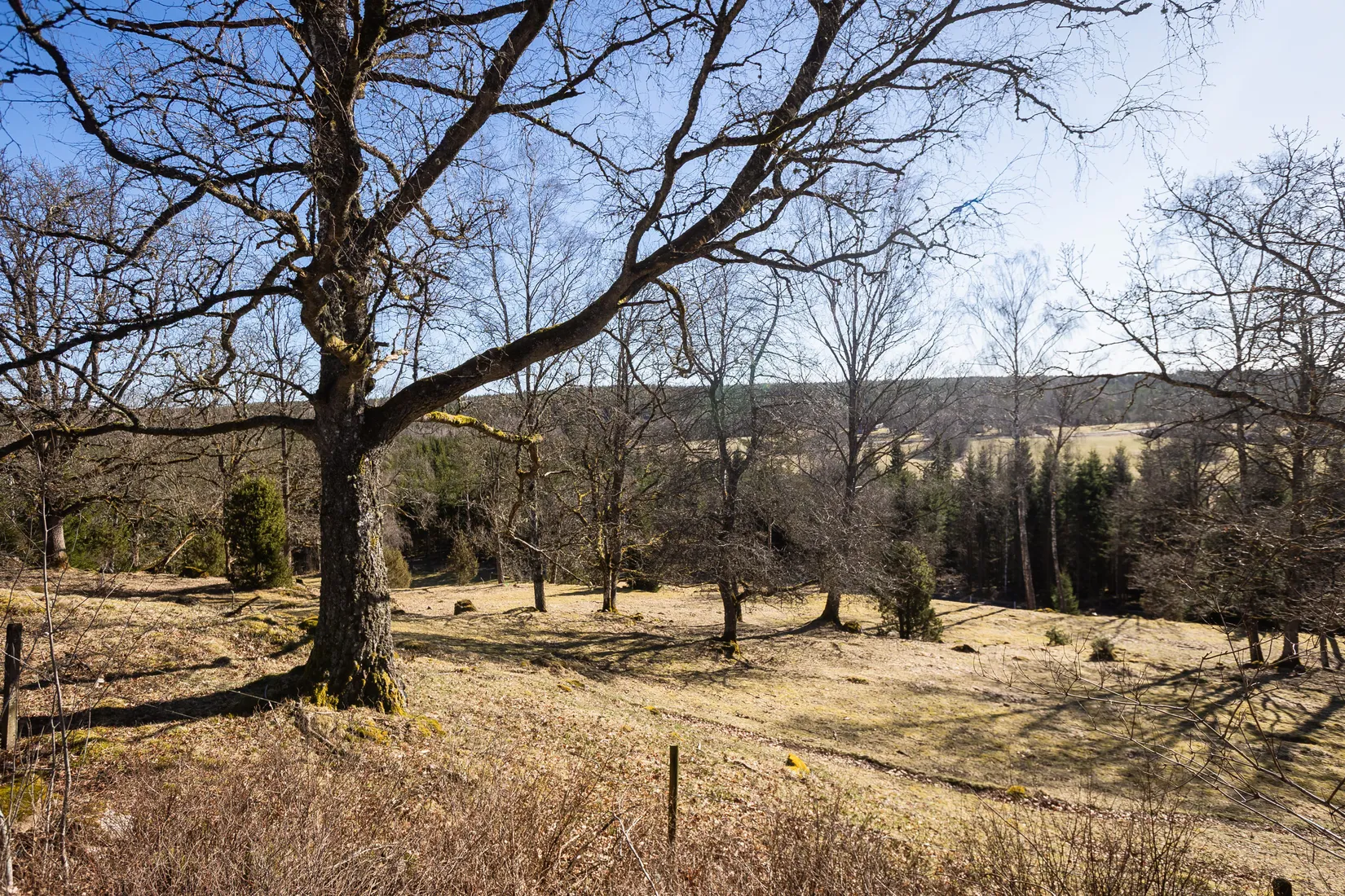 Fritidshus,  Björkkulla 1, Skillingaryd, Vaggeryd