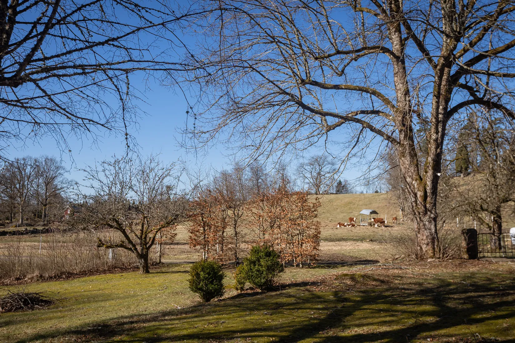 Fritidshus,  Björkkulla 1, Skillingaryd, Vaggeryd