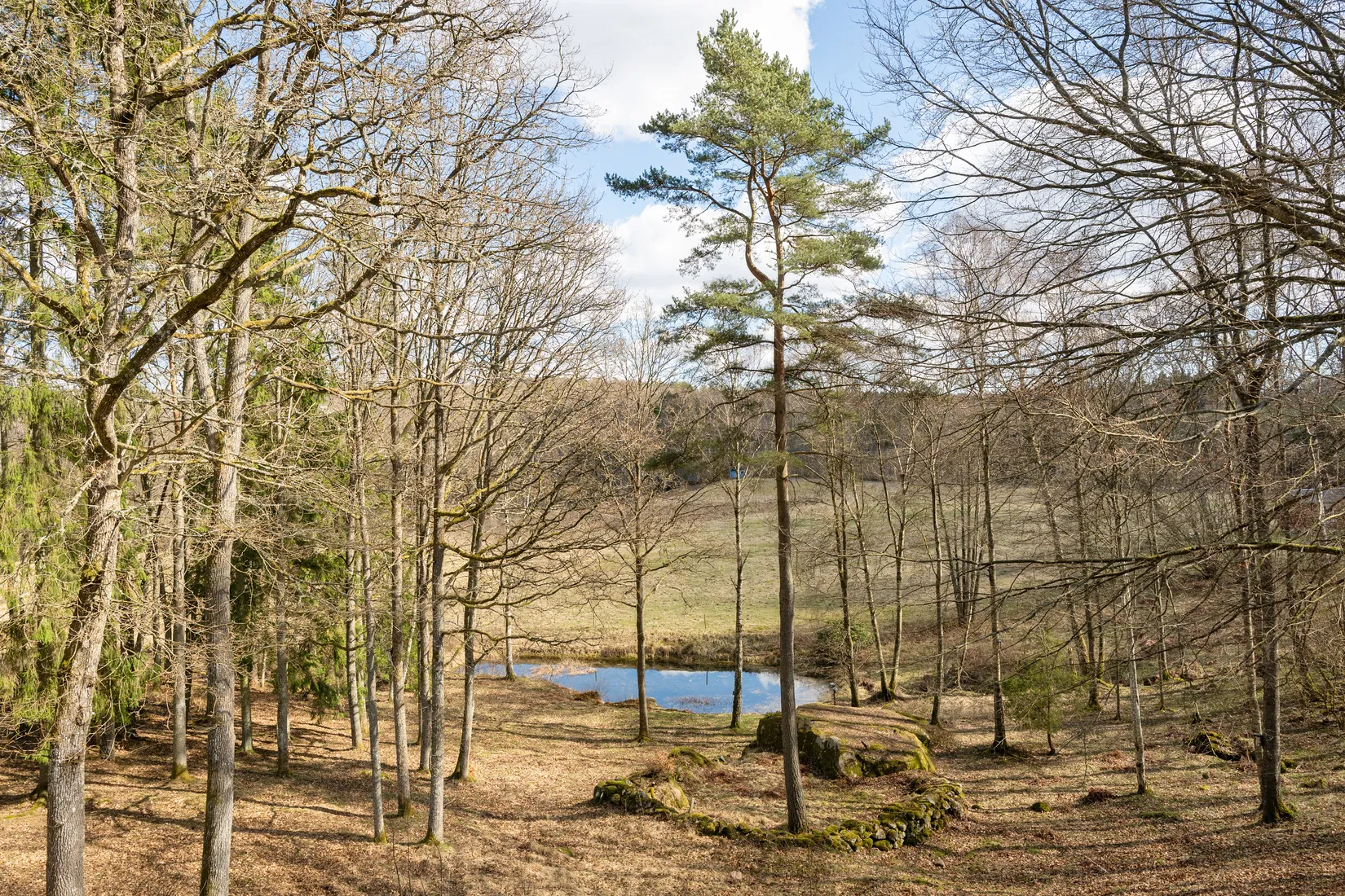 Villa, Lilla Skedets väg 61, Mjönäs, Kristianstad