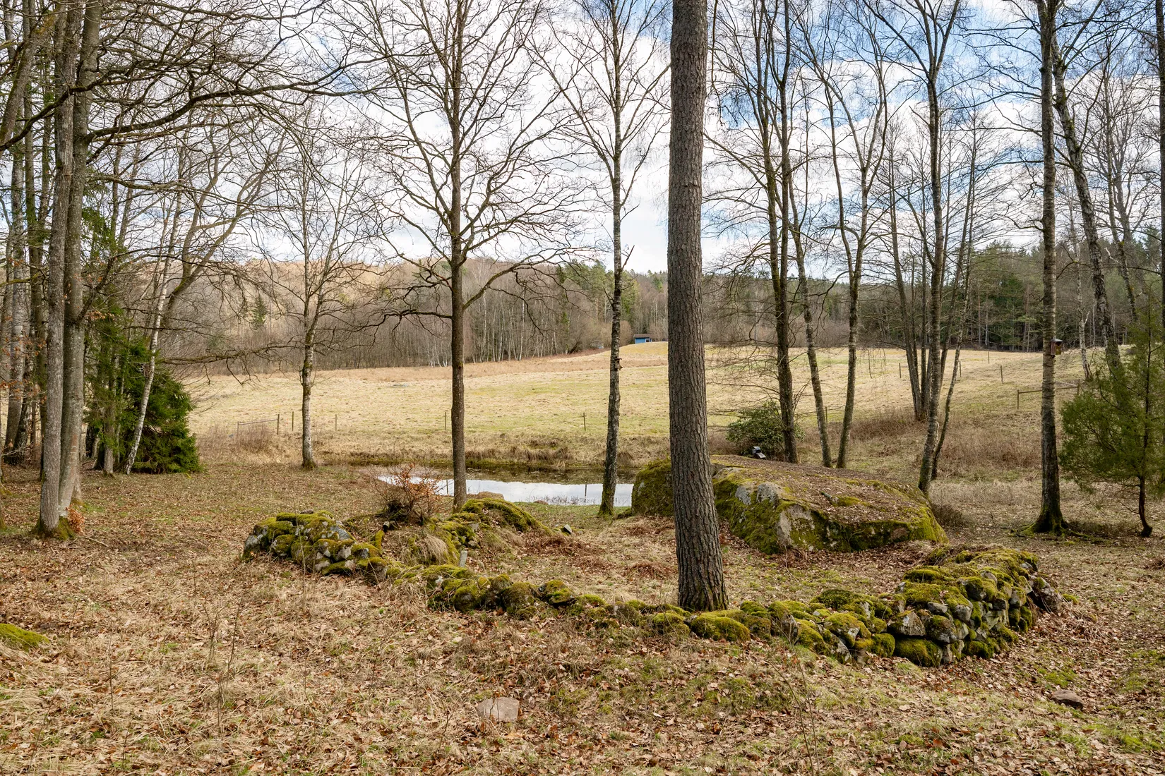 Villa, Lilla Skedets väg 61, Mjönäs, Kristianstad