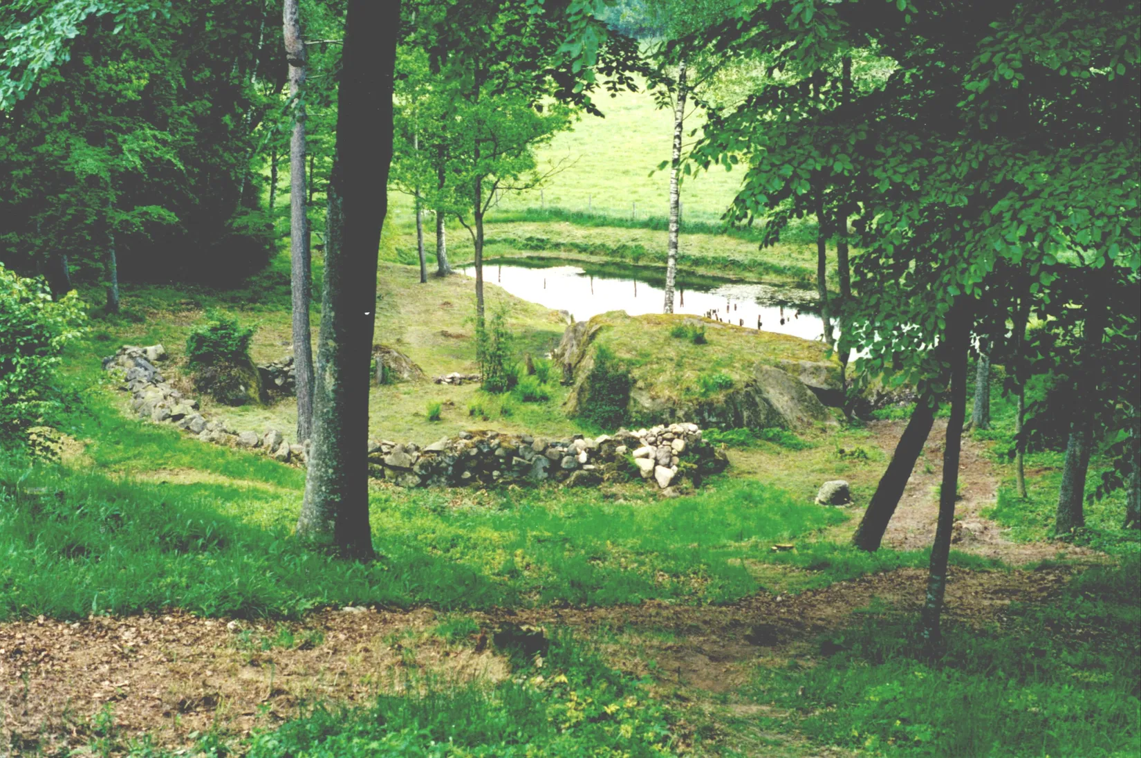 Villa, Lilla Skedets väg 61, Mjönäs, Kristianstad