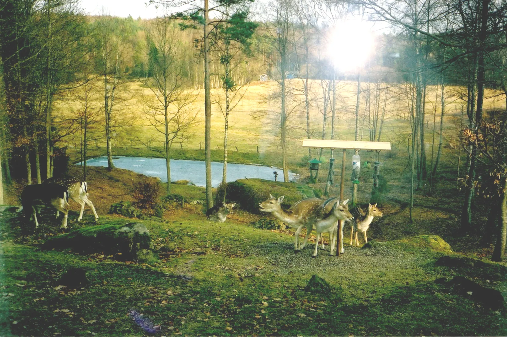 Villa, Lilla Skedets väg 61, Mjönäs, Kristianstad