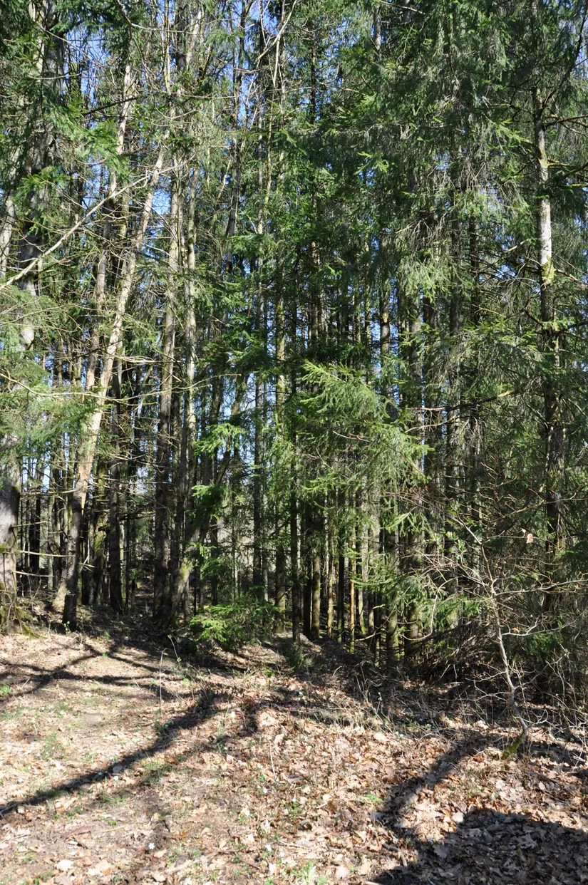 Fritidshus, Stenshult 5, Stenshult, Älmhult