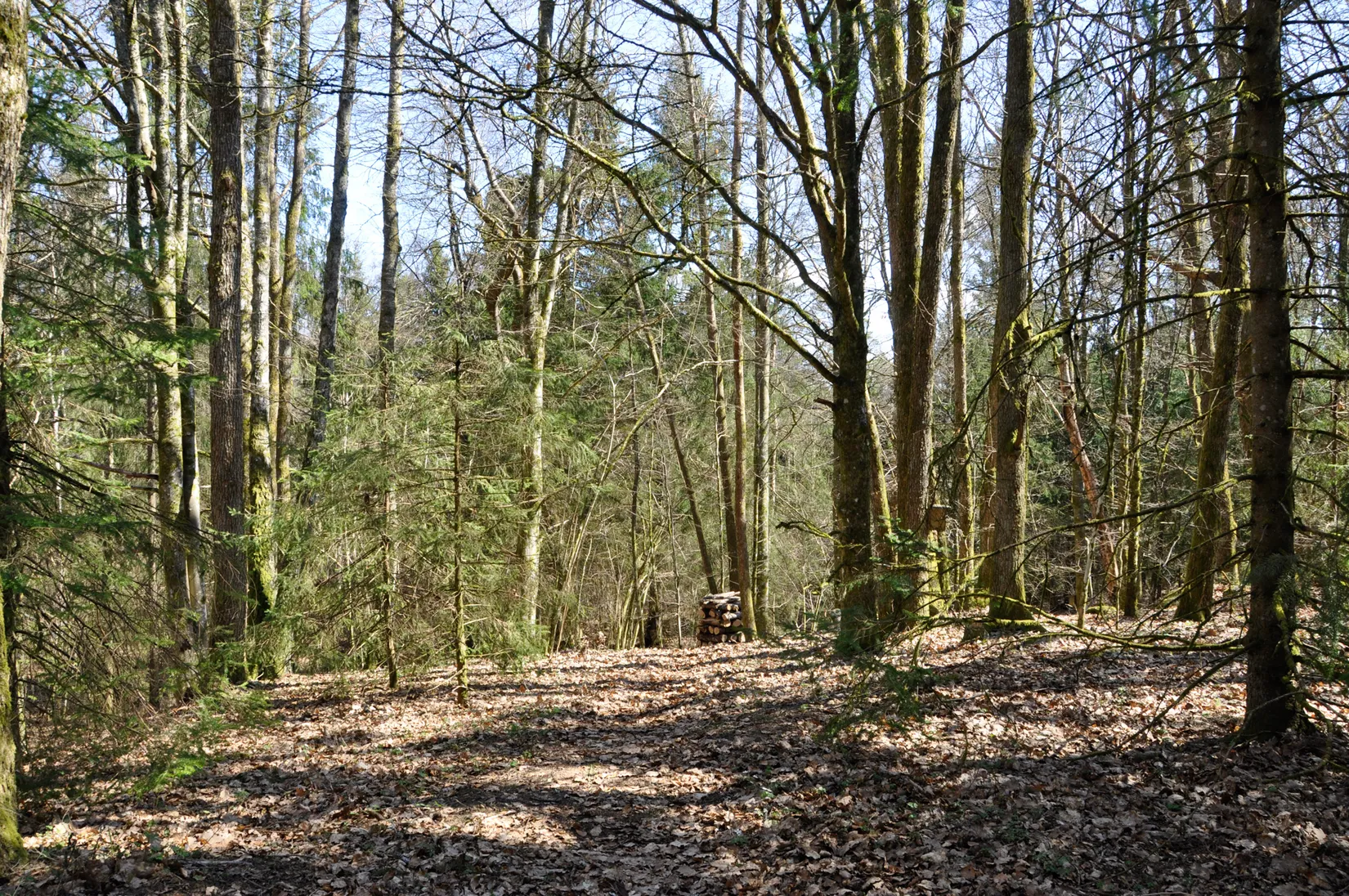 Fritidshus, Stenshult 5, Stenshult, Älmhult