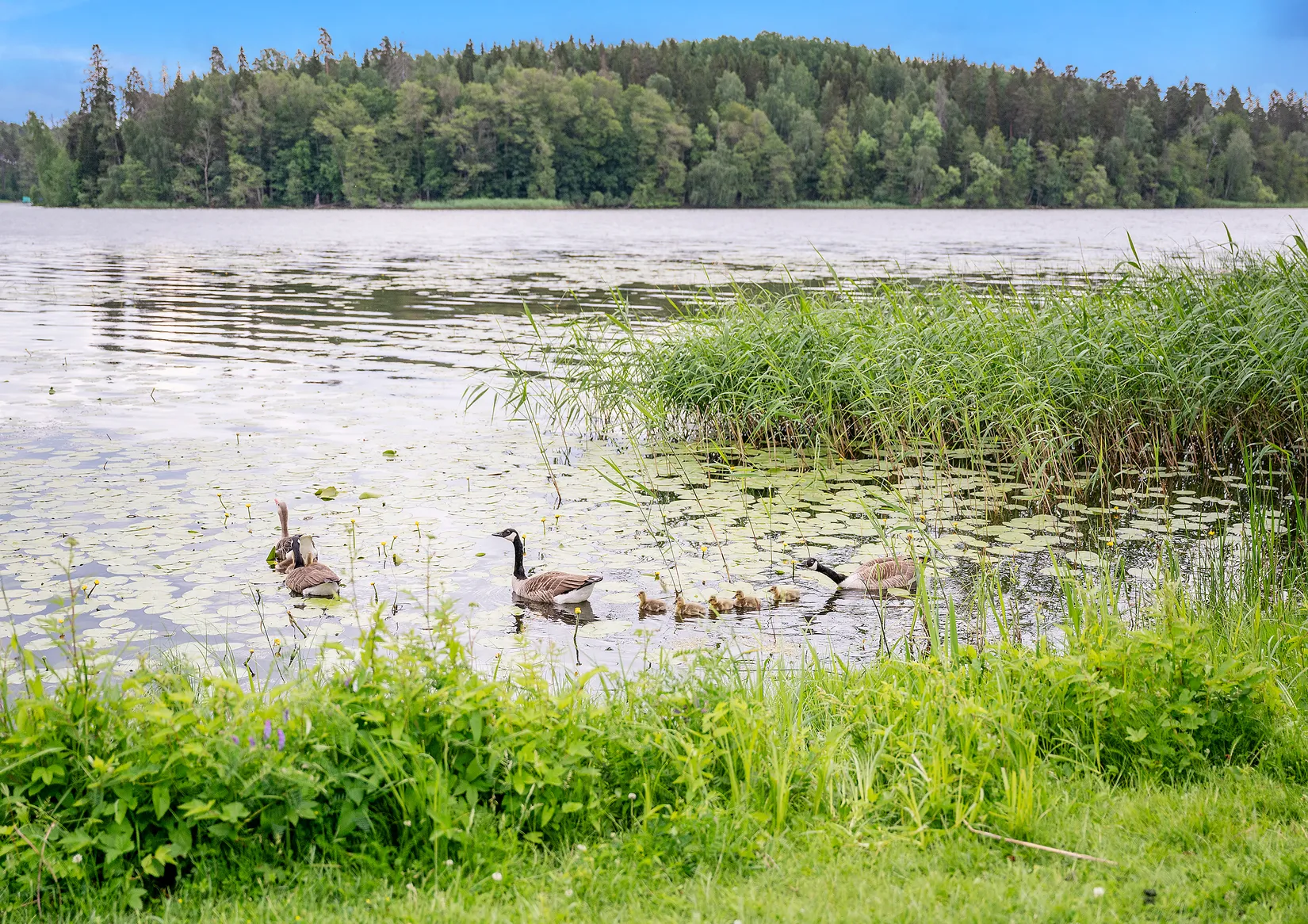 Bostadsrätt, Bjursvägen 16, Bollstanäs, Upplands Väsby