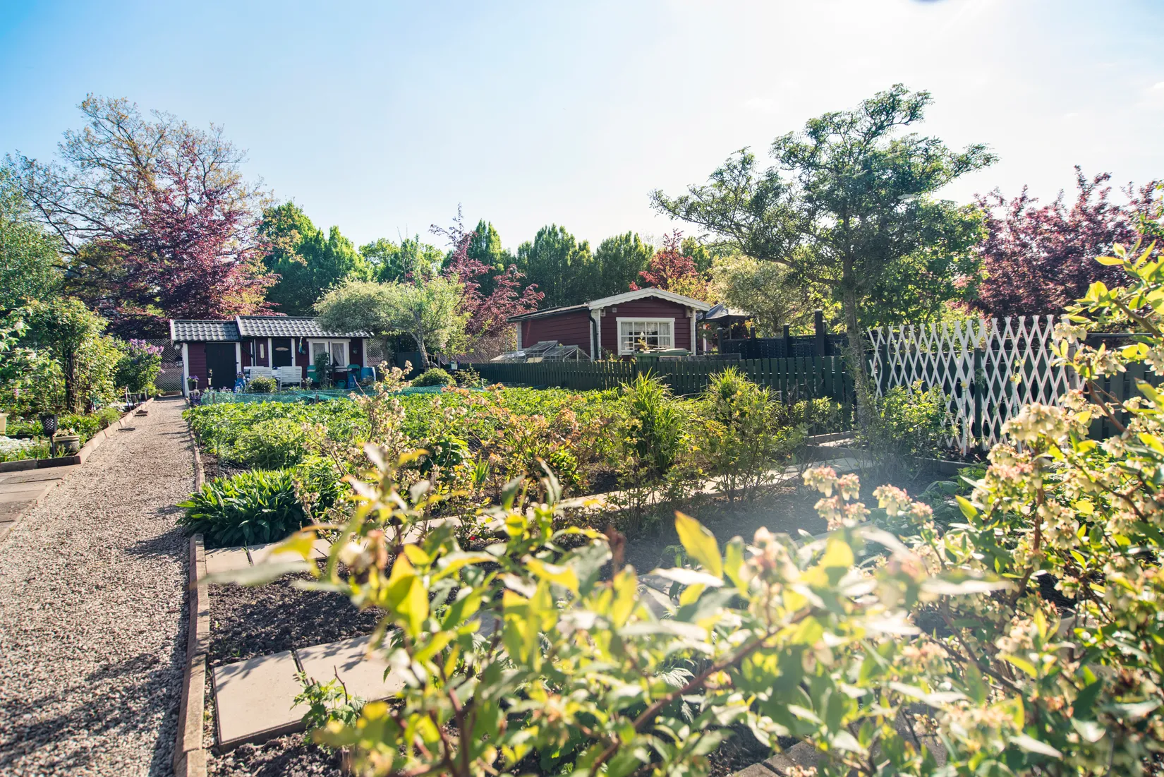 Fritidshus, Kapelluddens koloniförening, Kyrkogårdsgatan 21, Höganäs