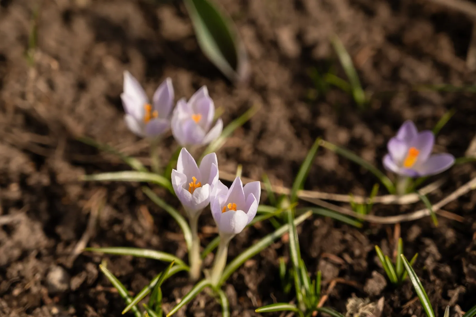 Villa, Gissjö 408, Ånge