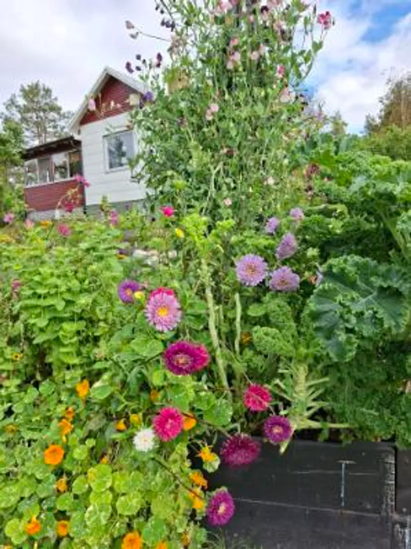 Villa, Gissjö 408, Ånge