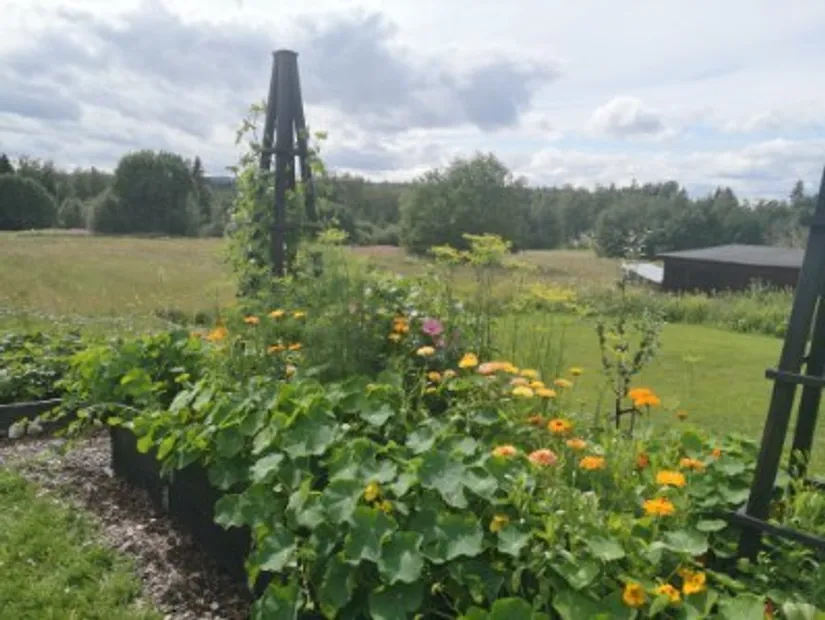 Villa, Gissjö 408, Ånge