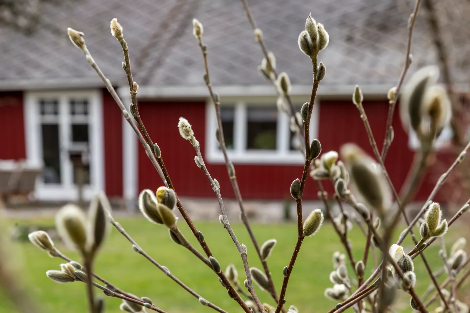 Villa, Bossgård 14, Derome, Varberg