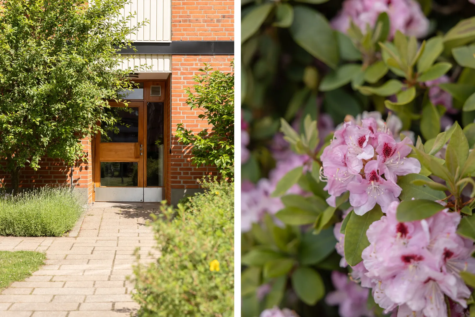 Bostadsrätt, Dag hammarskjölds väg 5D, Tuna, Lund