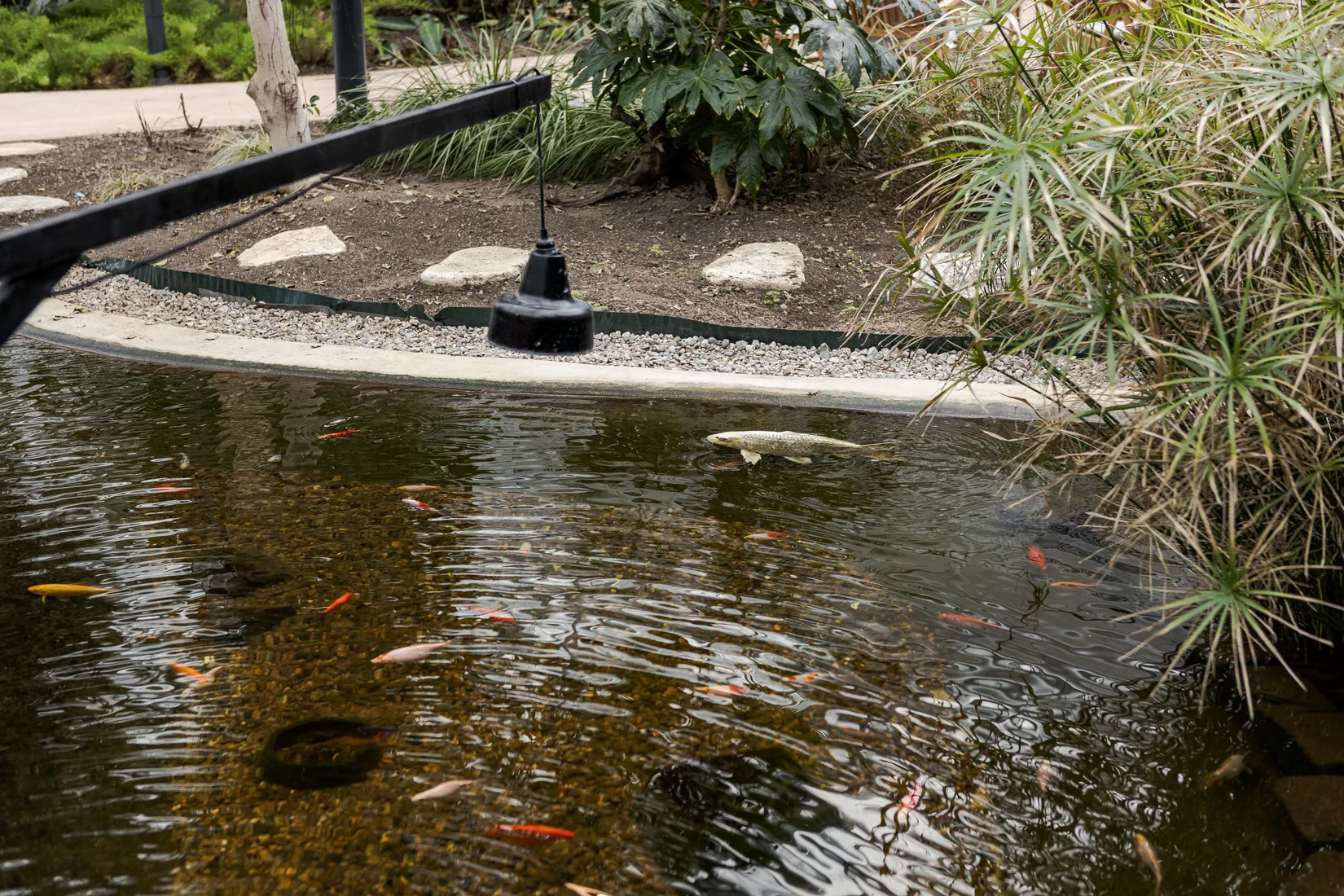 Bostadsrätt, Björnbärsvägen 5, Hälsinggården, Falun