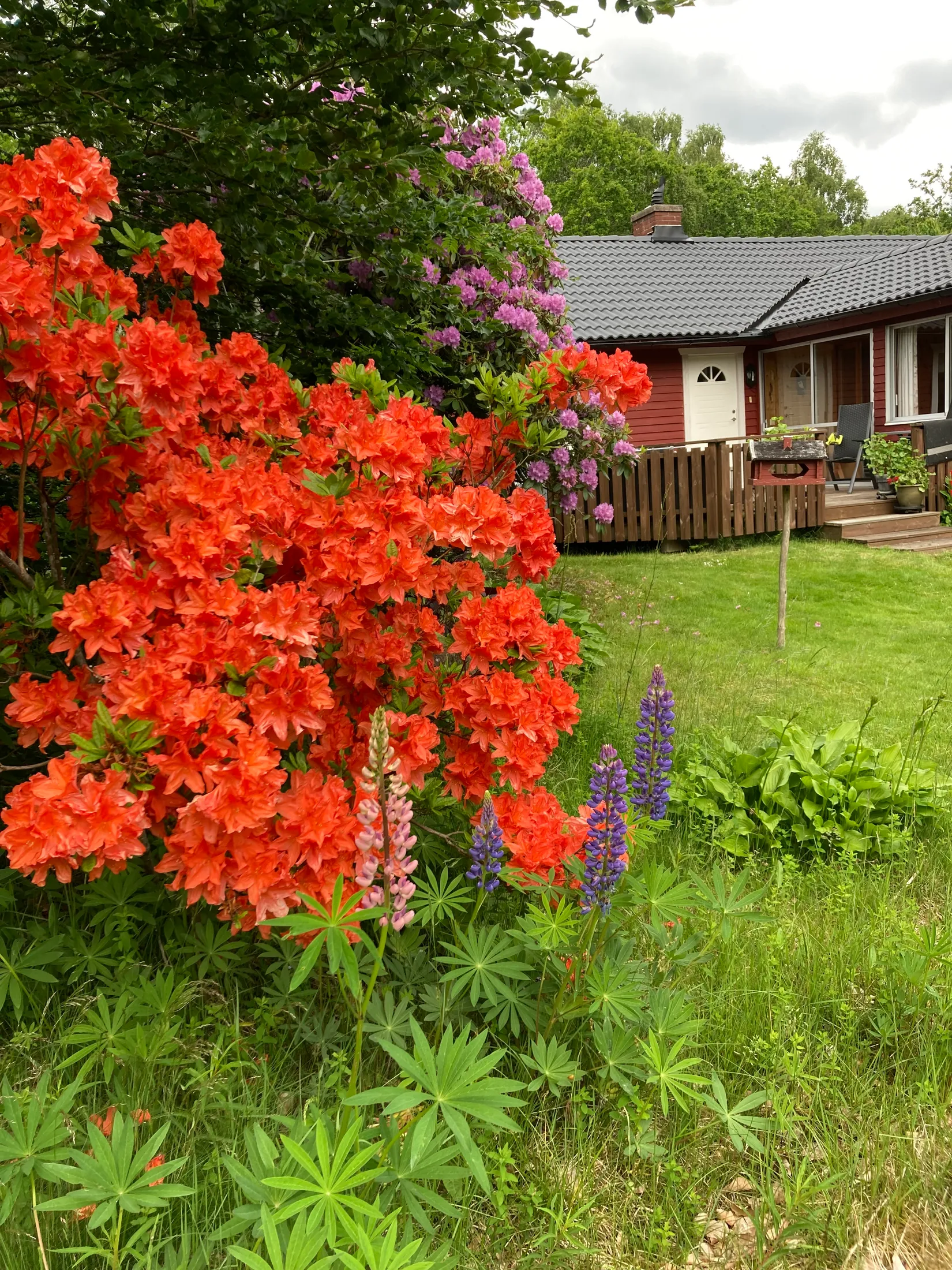 Villa, Hallandsås Börkered 330, Börkered, Laholm