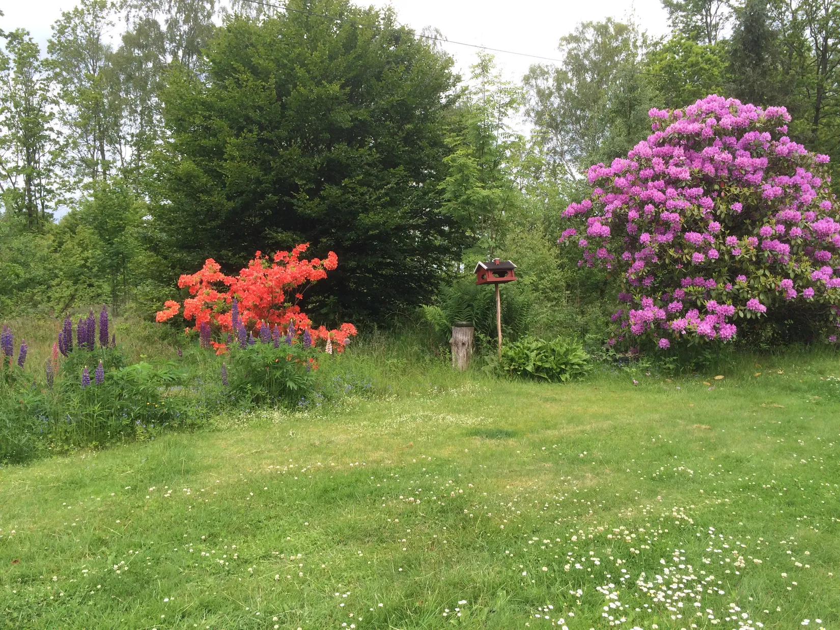 Villa, Hallandsås Börkered 330, Börkered, Laholm