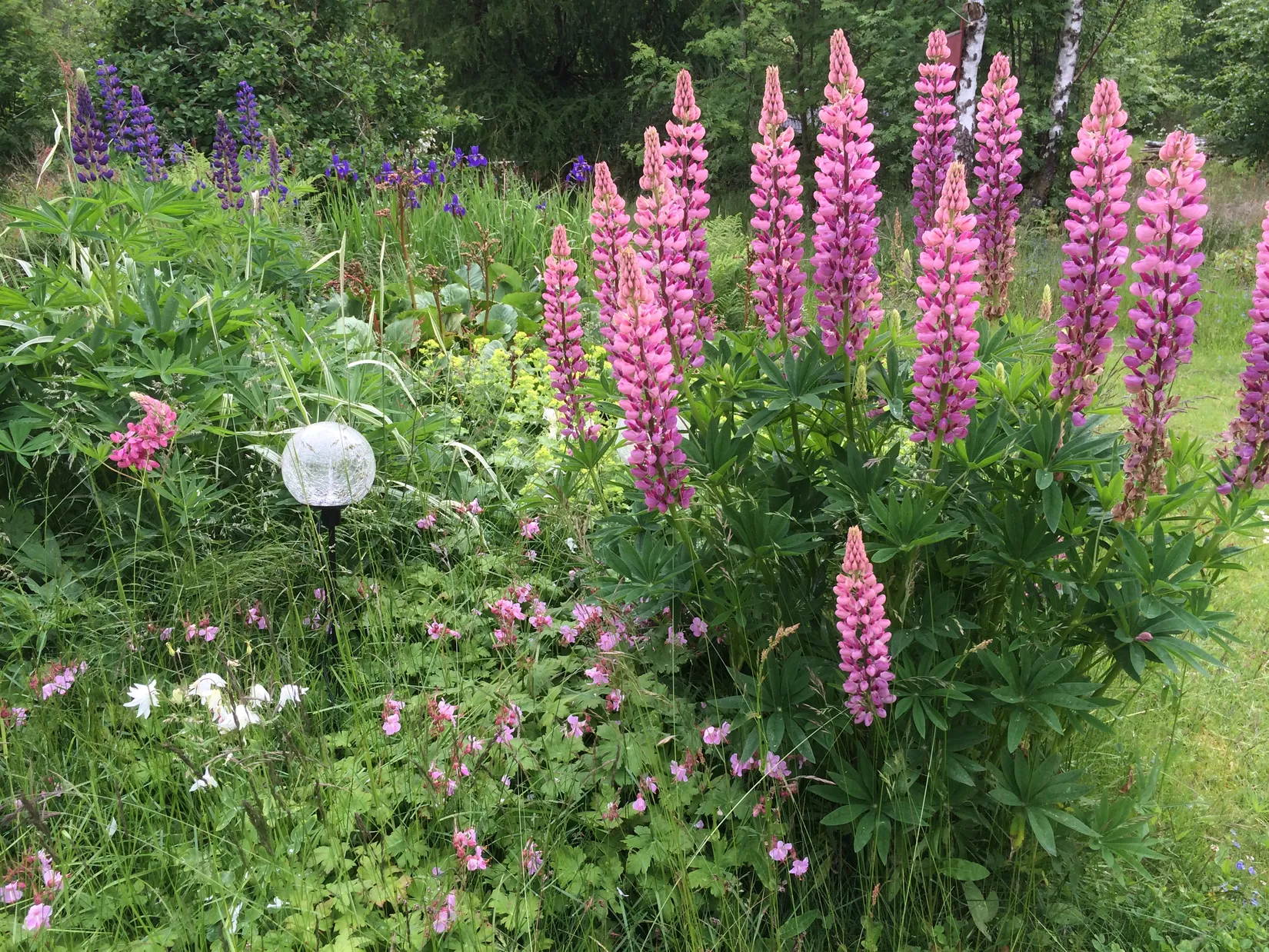 Villa, Hallandsås Börkered 330, Börkered, Laholm