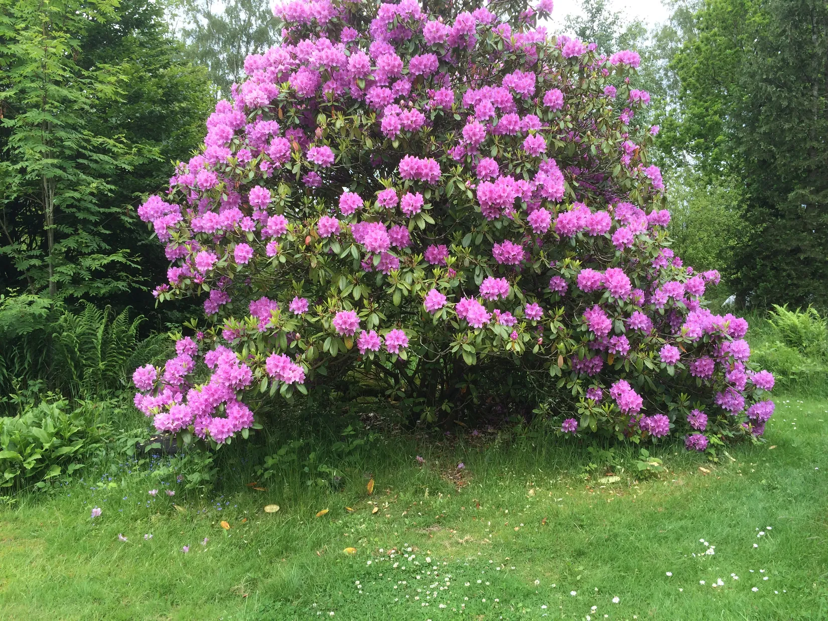 Villa, Hallandsås Börkered 330, Börkered, Laholm