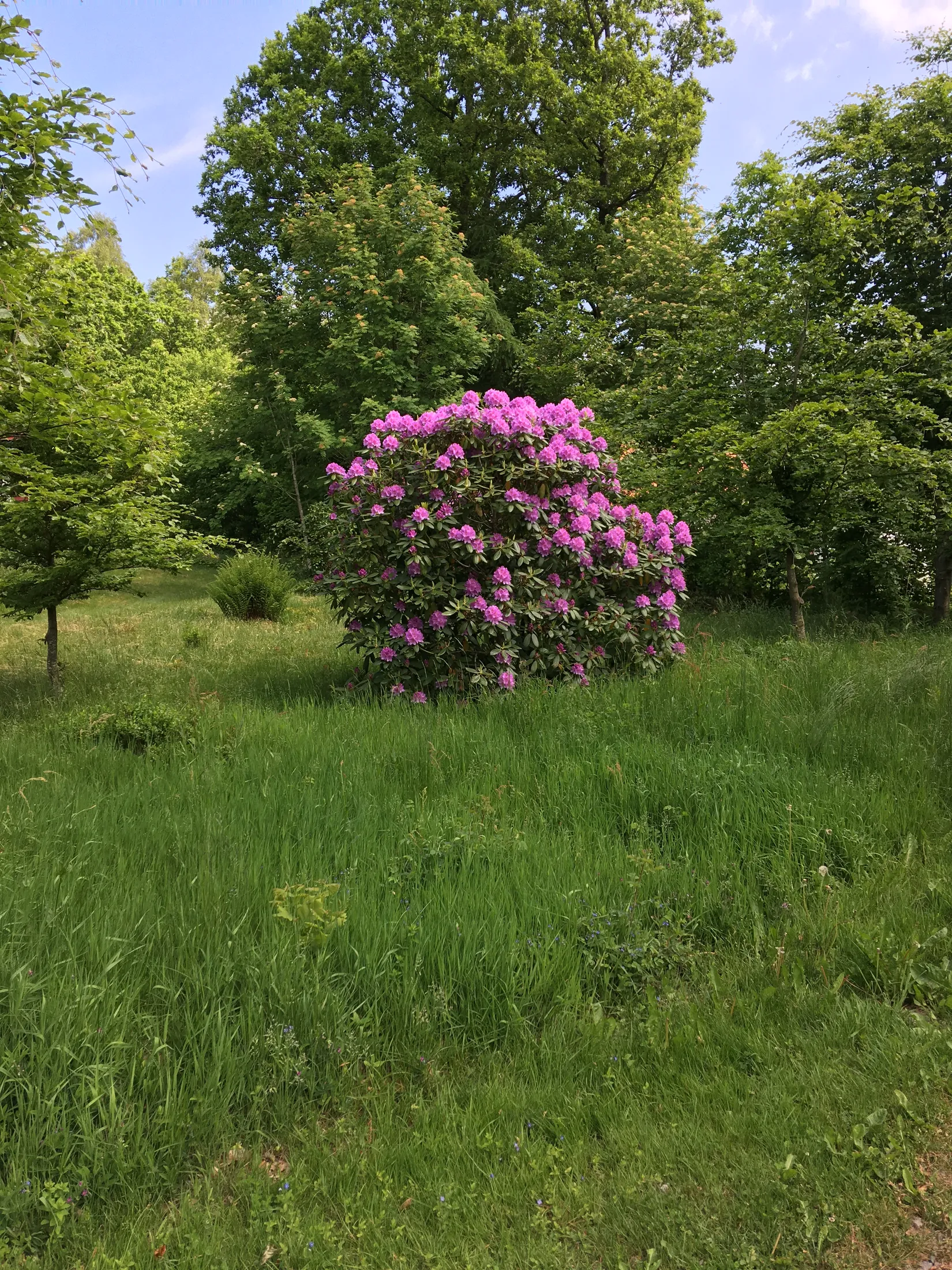 Villa, Hallandsås Börkered 330, Börkered, Laholm
