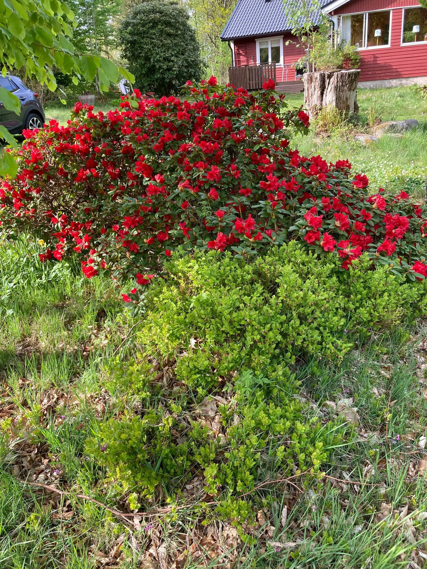 Villa, Hallandsås Börkered 330, Börkered, Laholm