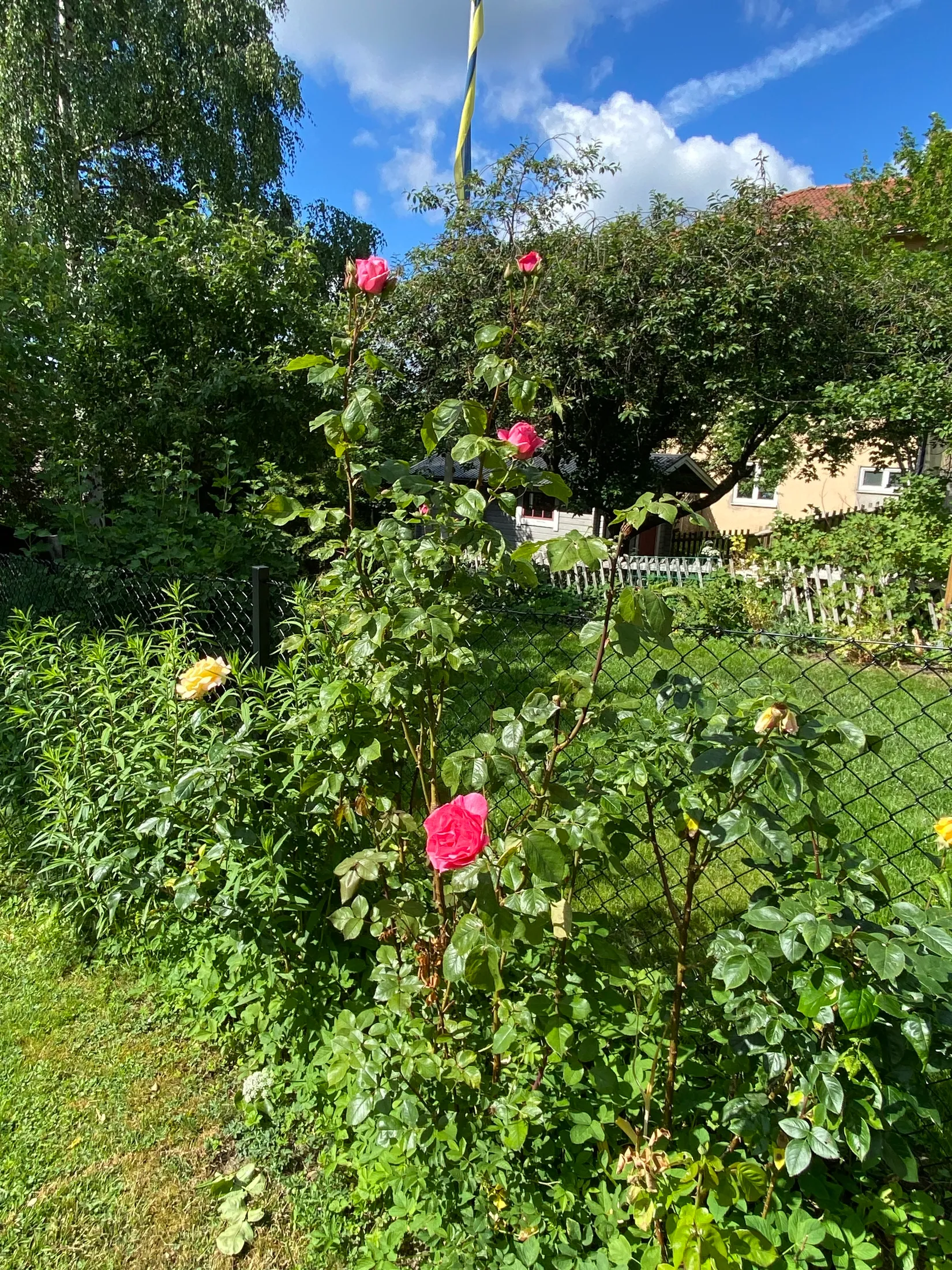Radhus, Soldatgatan 25B, Vaxholm