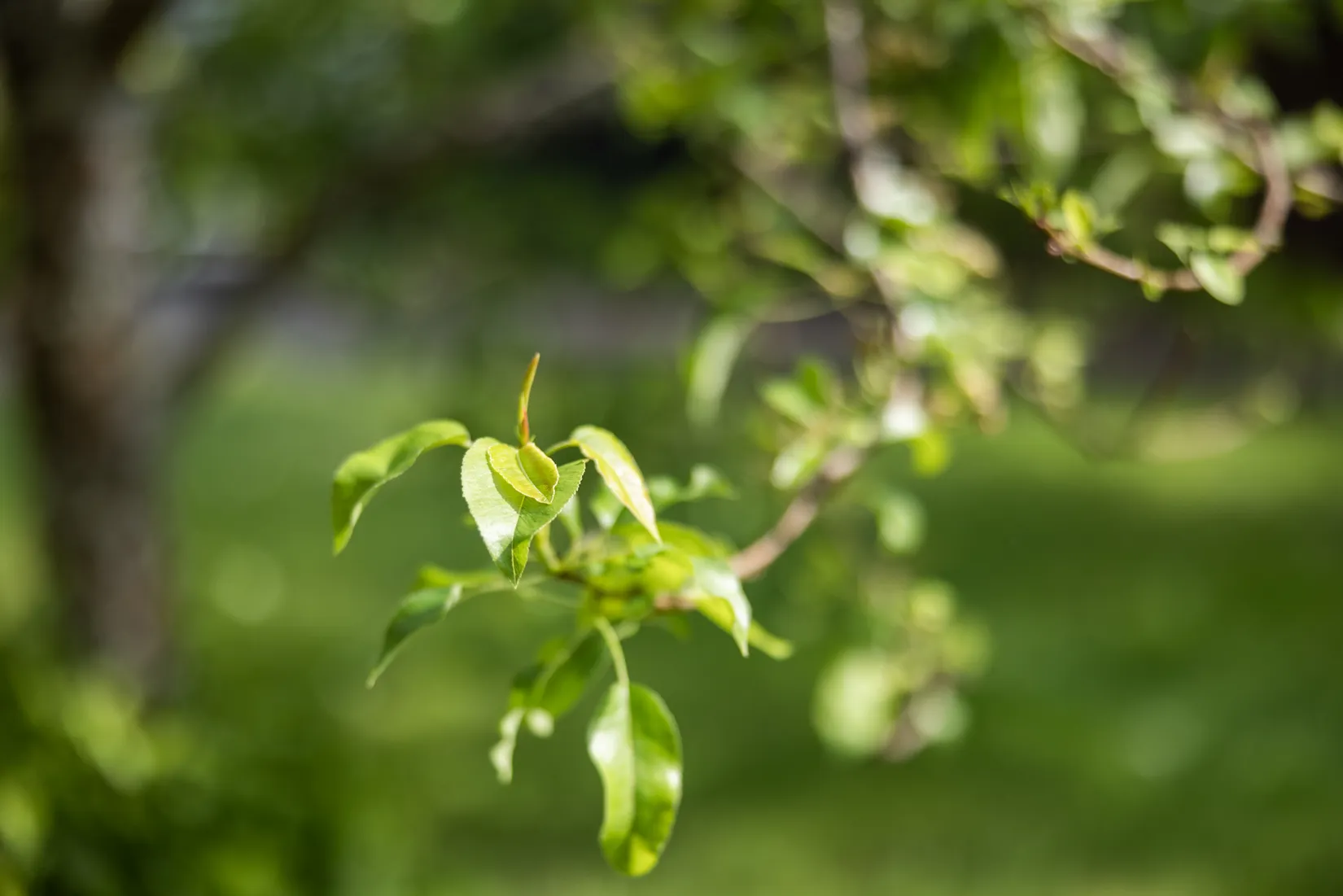 Bostadsrätt, Solvägen 8, Vättersnäs, Jönköping