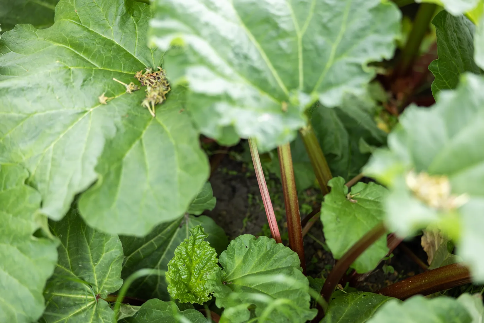 Bostadsrätt, Solvägen 8, Vättersnäs, Jönköping