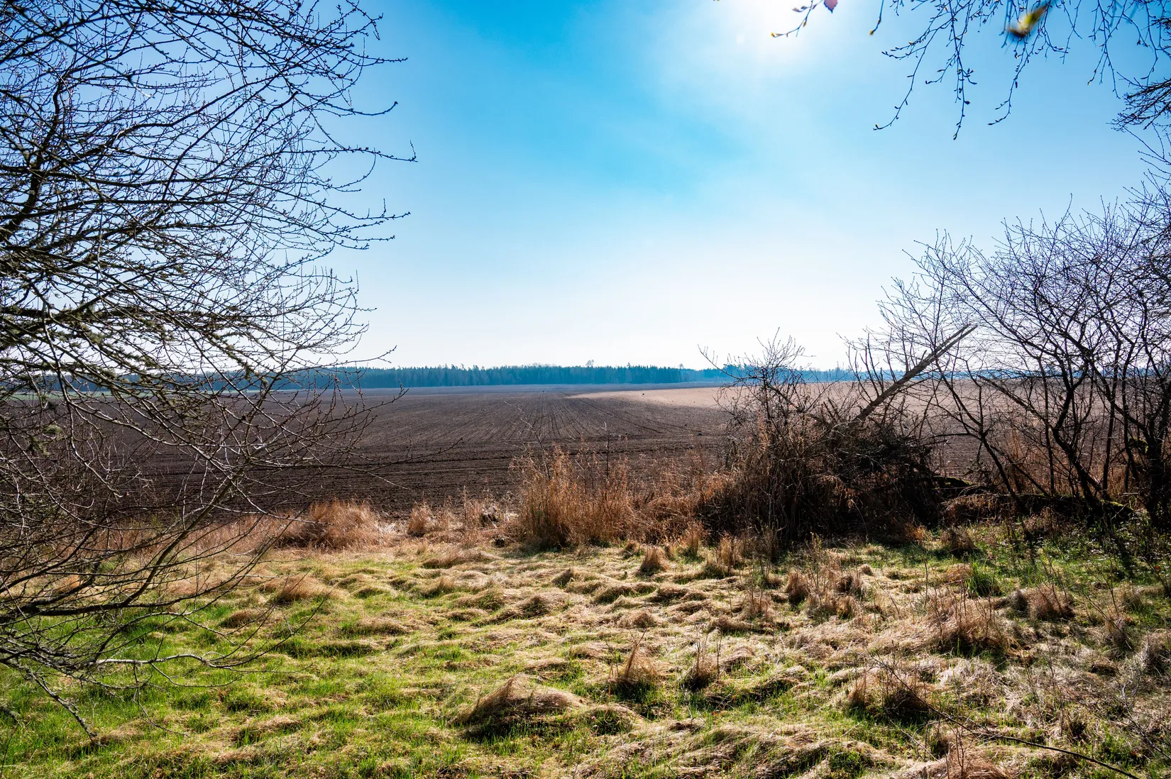 Villa, Stora Hov 5, Bjertorp, Vara