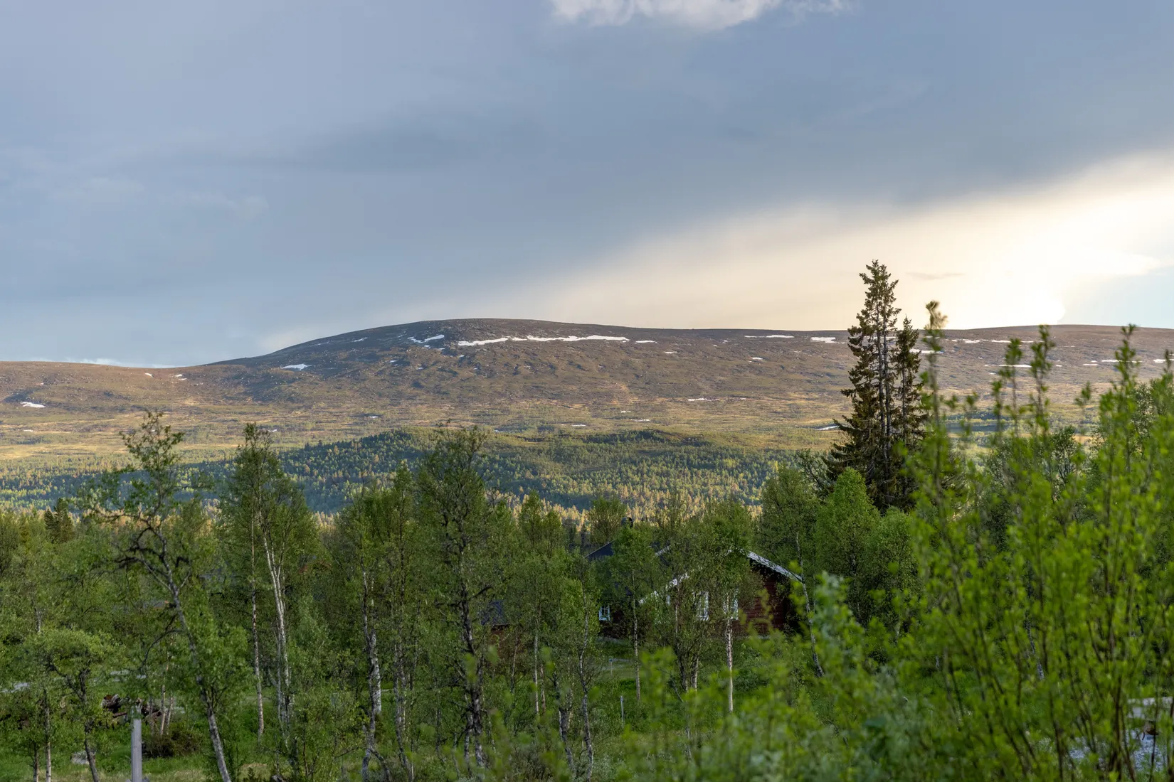 Tomt, Skarvrusätern Fjällbäcksstigen 4, Tänndalen - Skarvrusäterns stugområde, Härjedalen