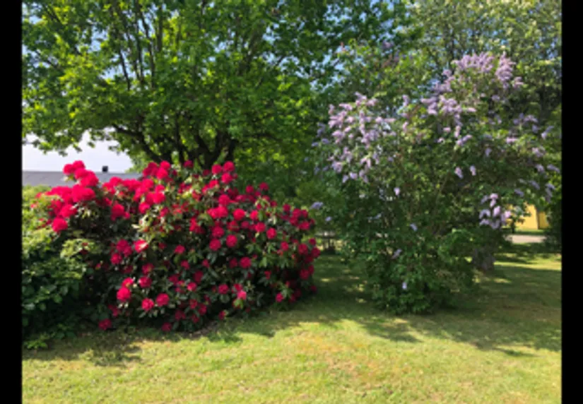 Fritidshus, Ormen Långes väg 33, Trummenäs, Karlskrona