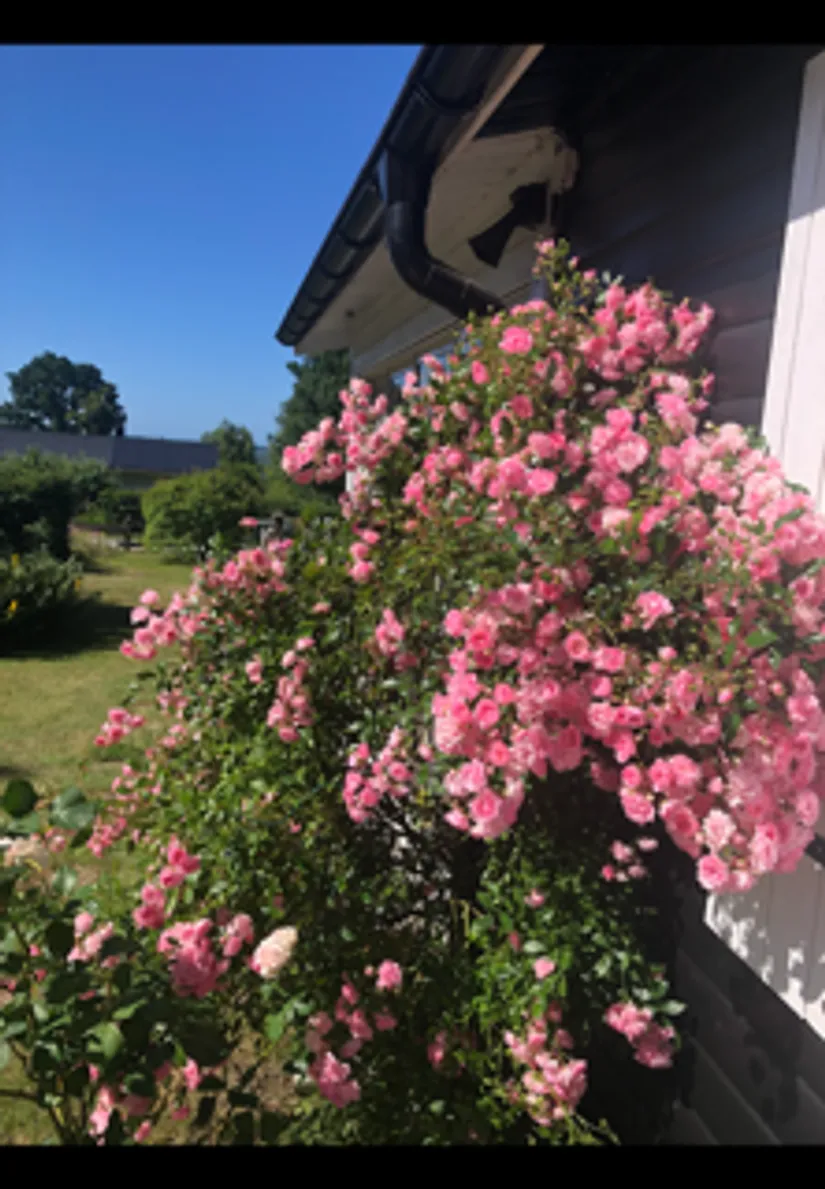 Fritidshus, Ormen Långes väg 33, Trummenäs, Karlskrona